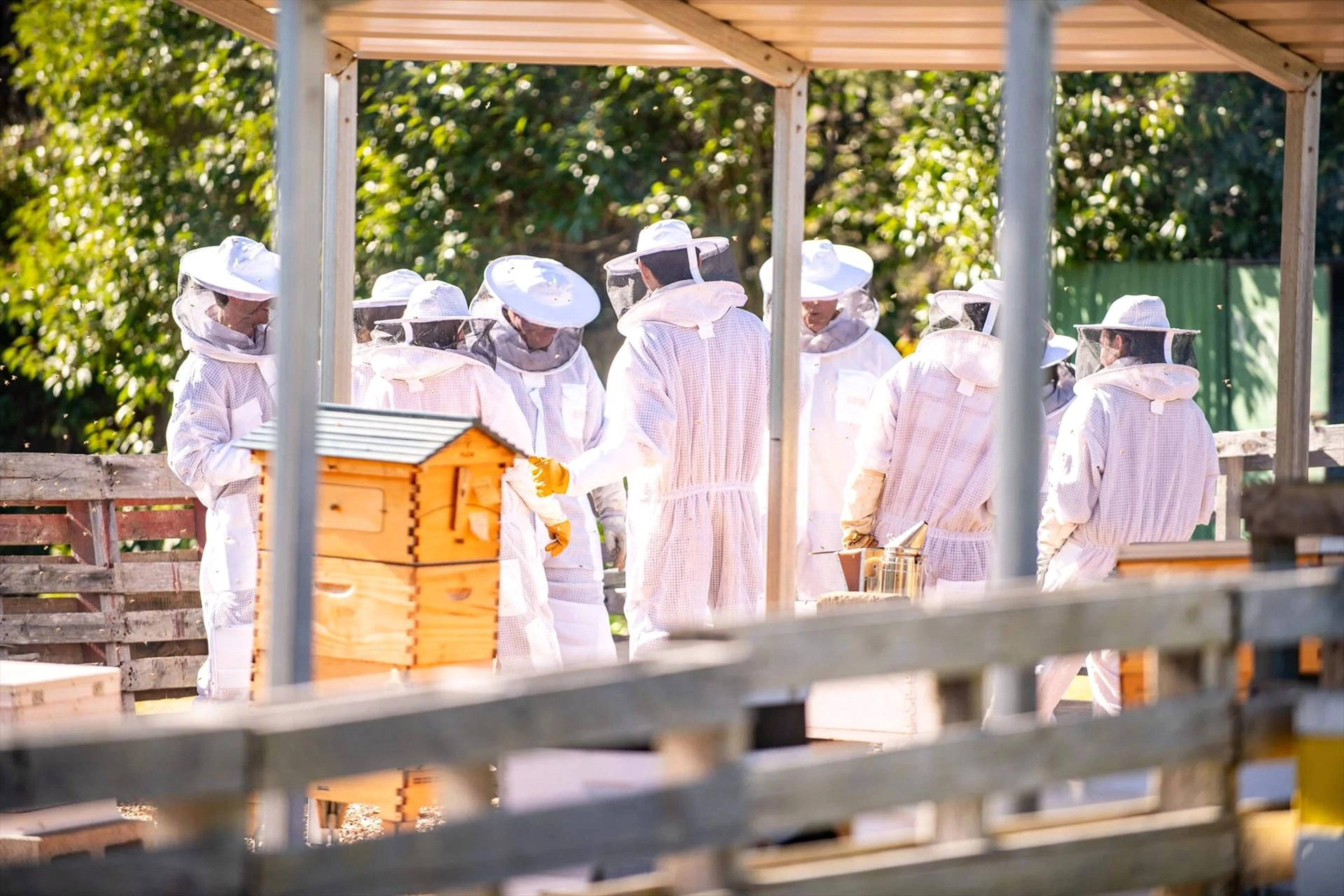 Bowral Honey Farm in Bowral, NSW — photo 4
