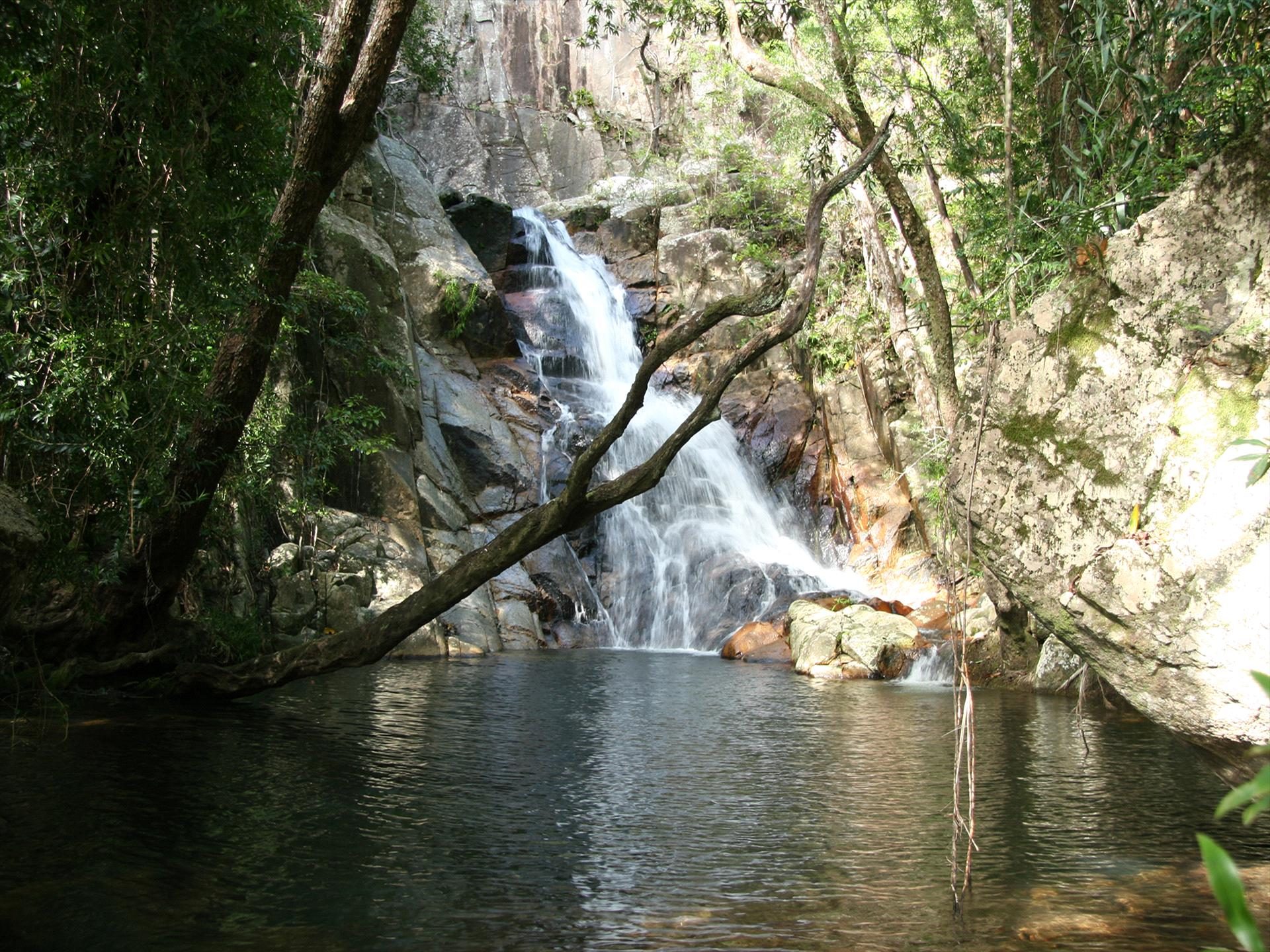 Mungumby Lodge in Cooktown, QLD — photo 4
