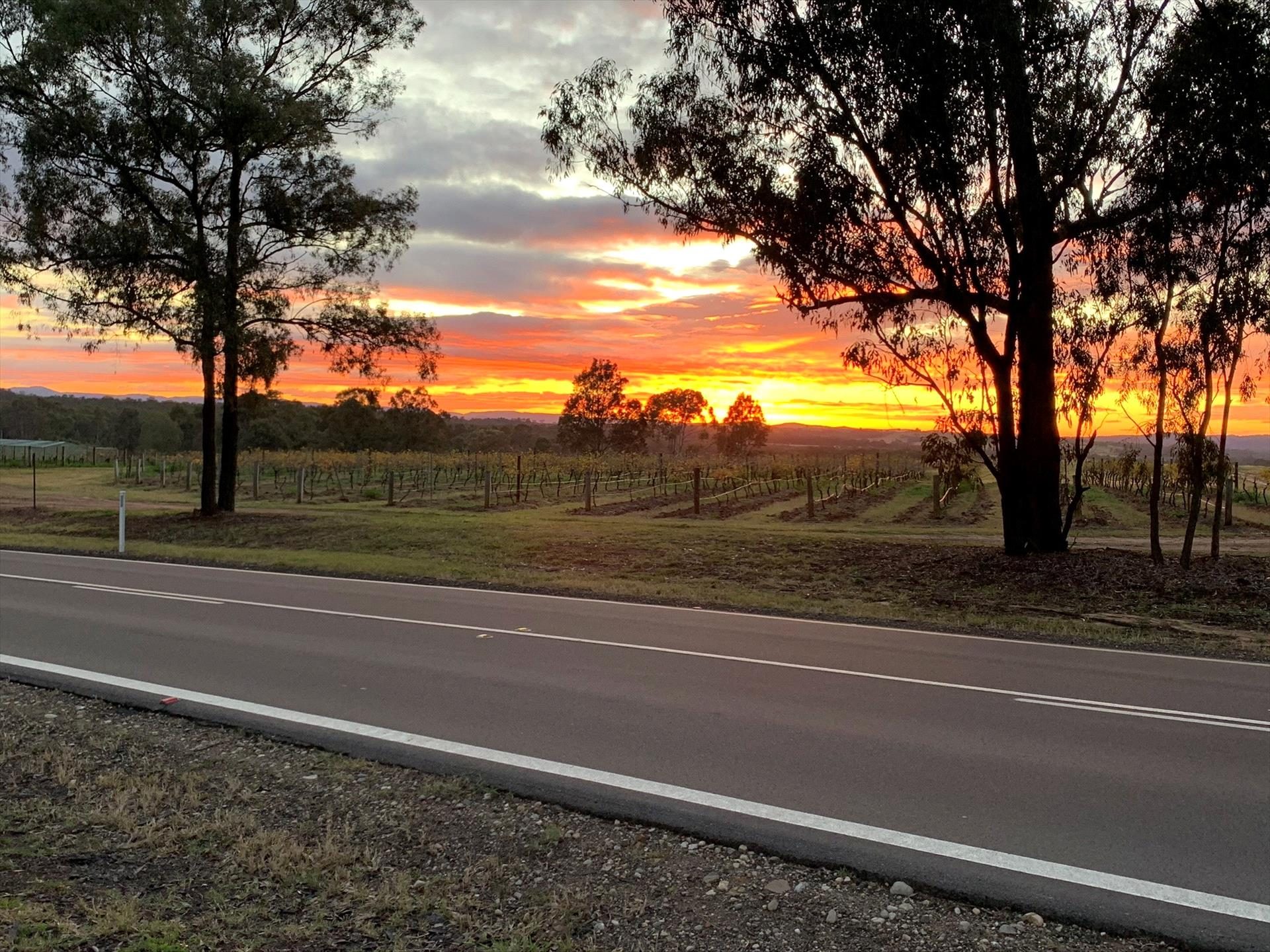 27 Rows on Hermitage in Pokolbin, NSW — photo 1