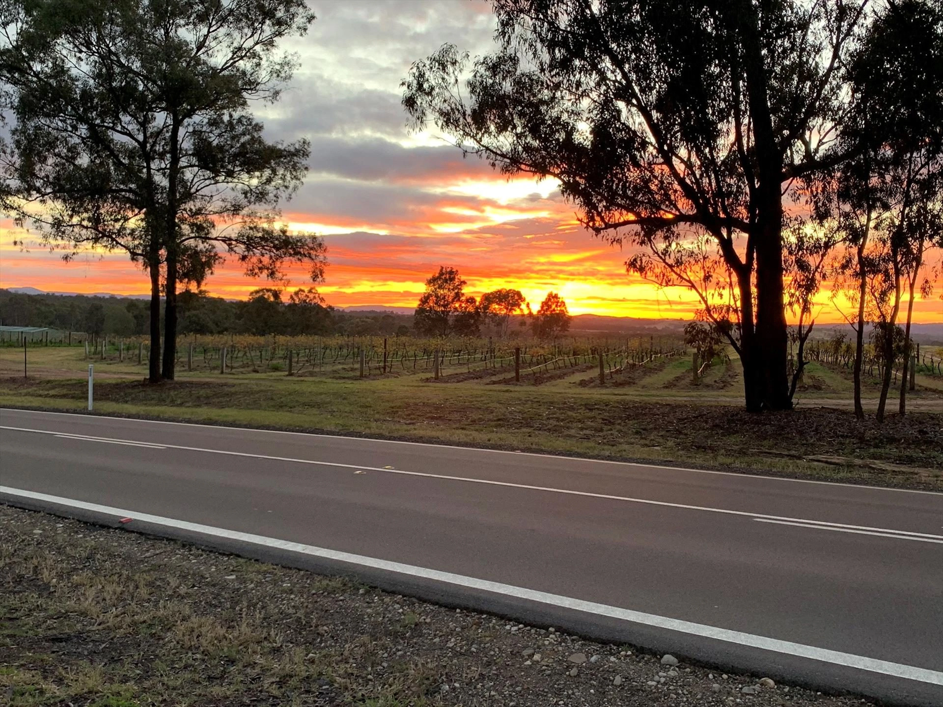 27 Rows on Hermitage in Pokolbin, NSW — photo 1