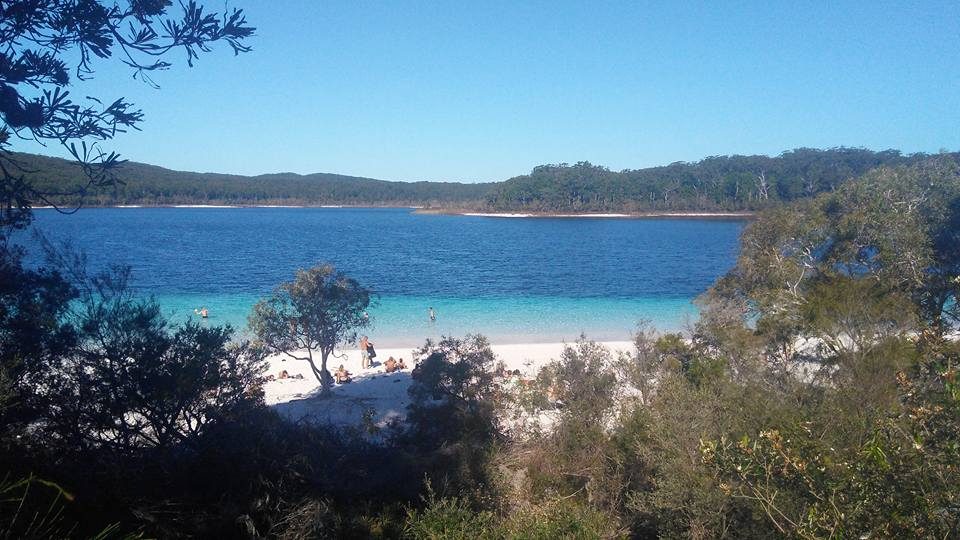 Bushwacker Eco Tours in Scarborough, QLD — photo 5