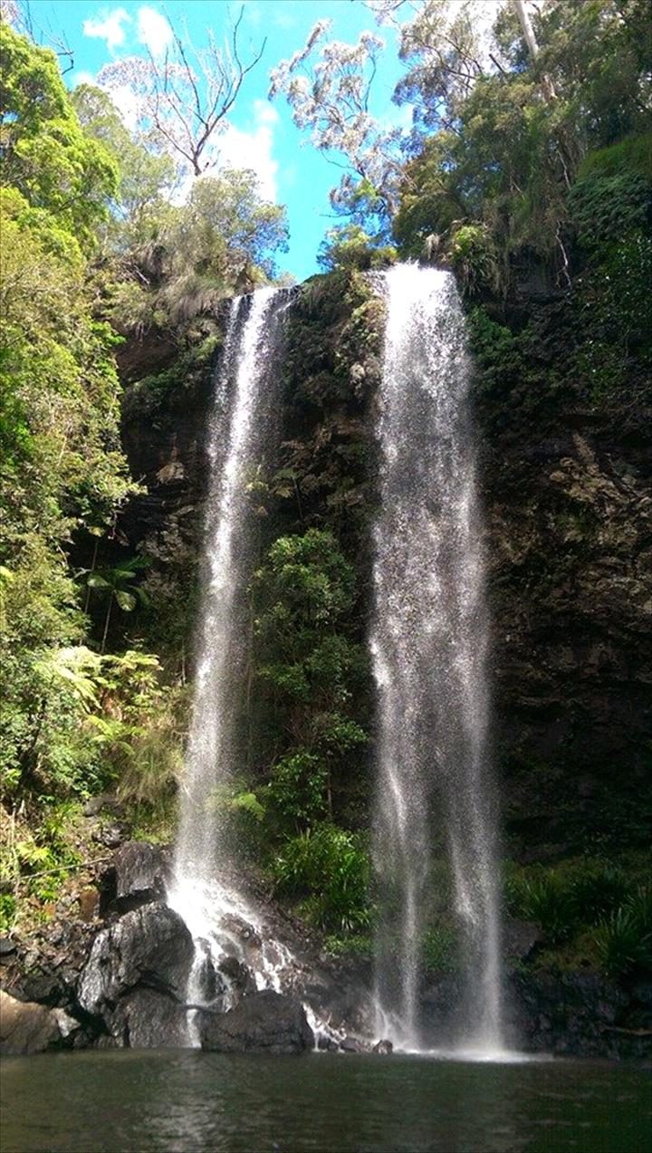 Bushwacker Eco Tours in Scarborough, QLD — photo 4