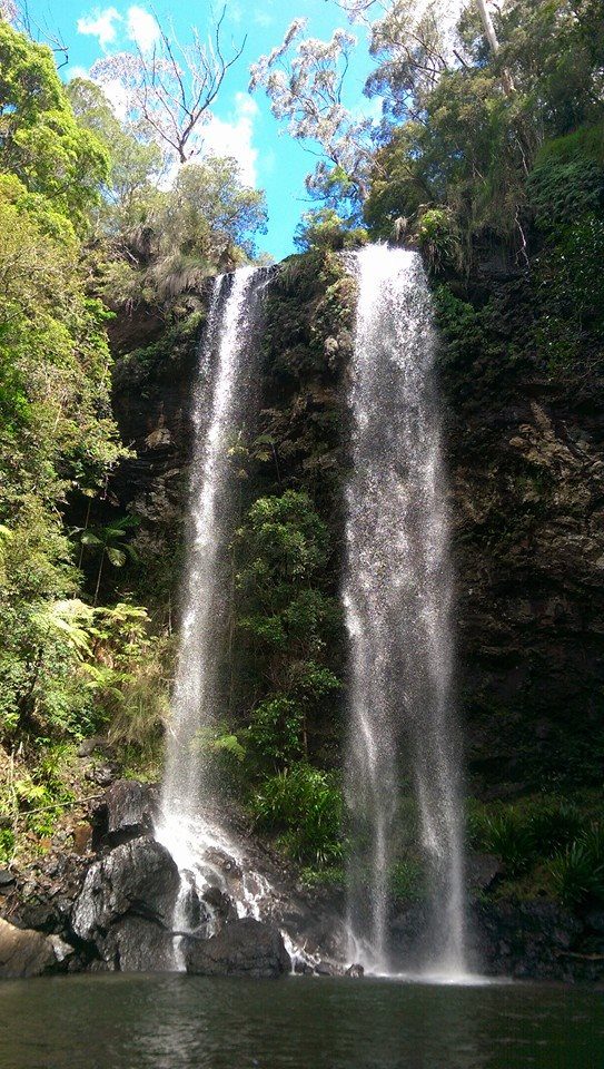 Bushwacker Eco Tours in Scarborough, QLD — photo 3