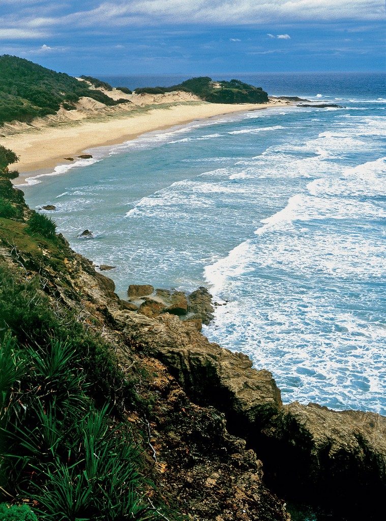 Bushwacker Eco Tours in Scarborough, QLD — photo 2