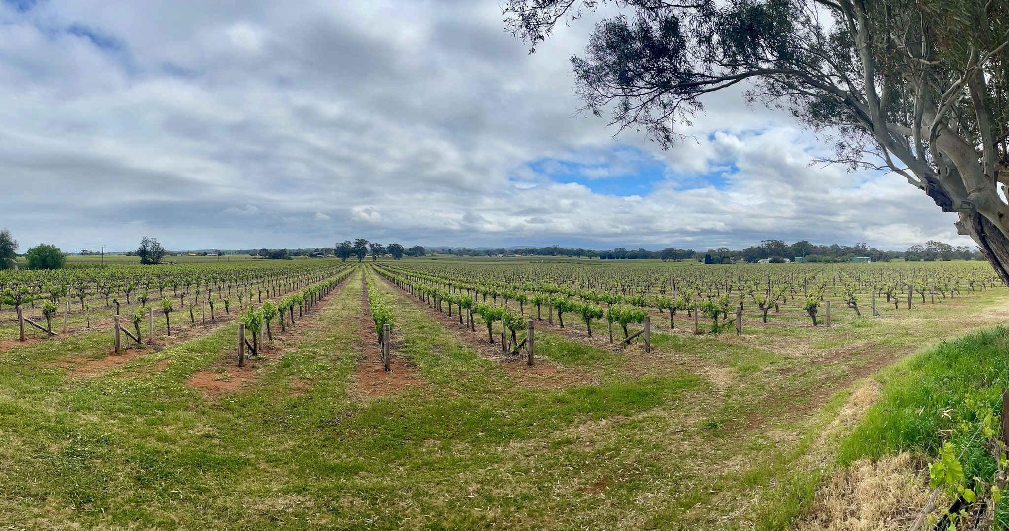 Experience SA Wine Tours in Port Adelaide, SA — photo 4