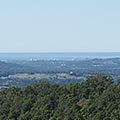 Treetops Seaview in Montville, QLD — photo 2