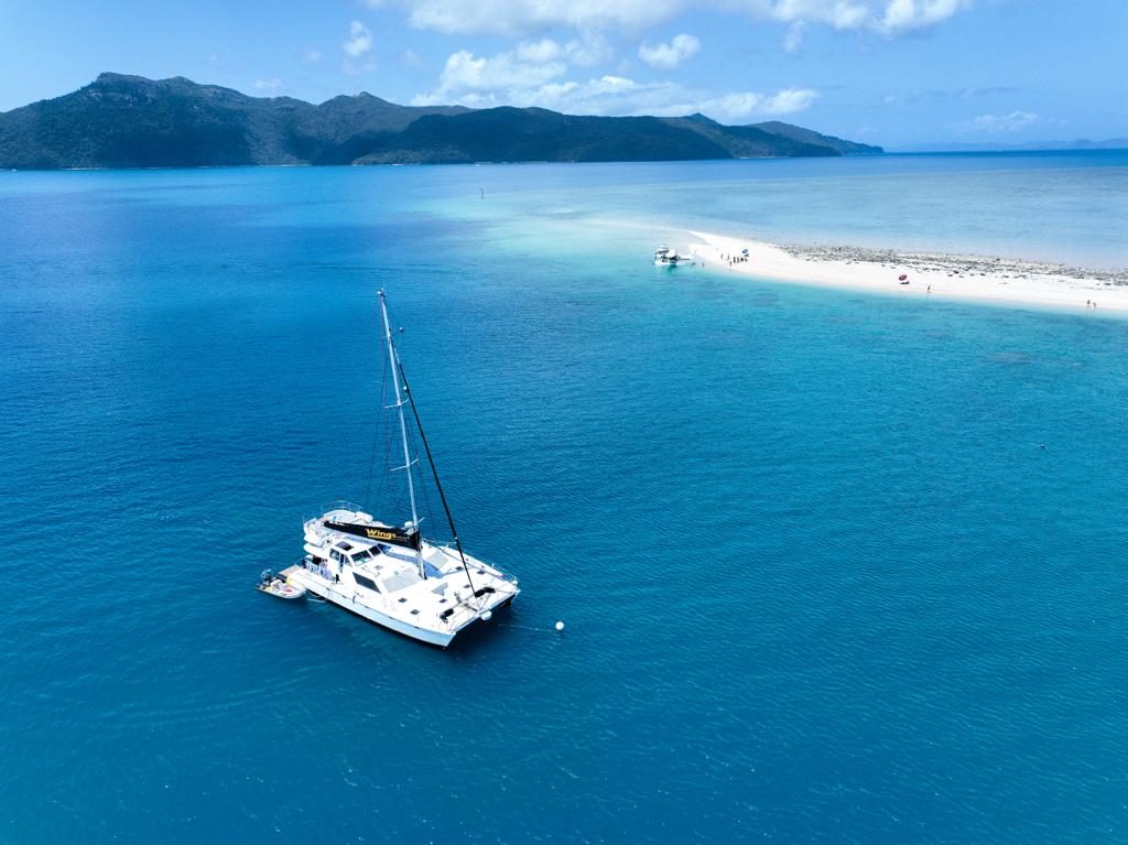 Wings Sailing Charters Whitsundays - Day Tour in Cannon Valley, QLD — photo 2