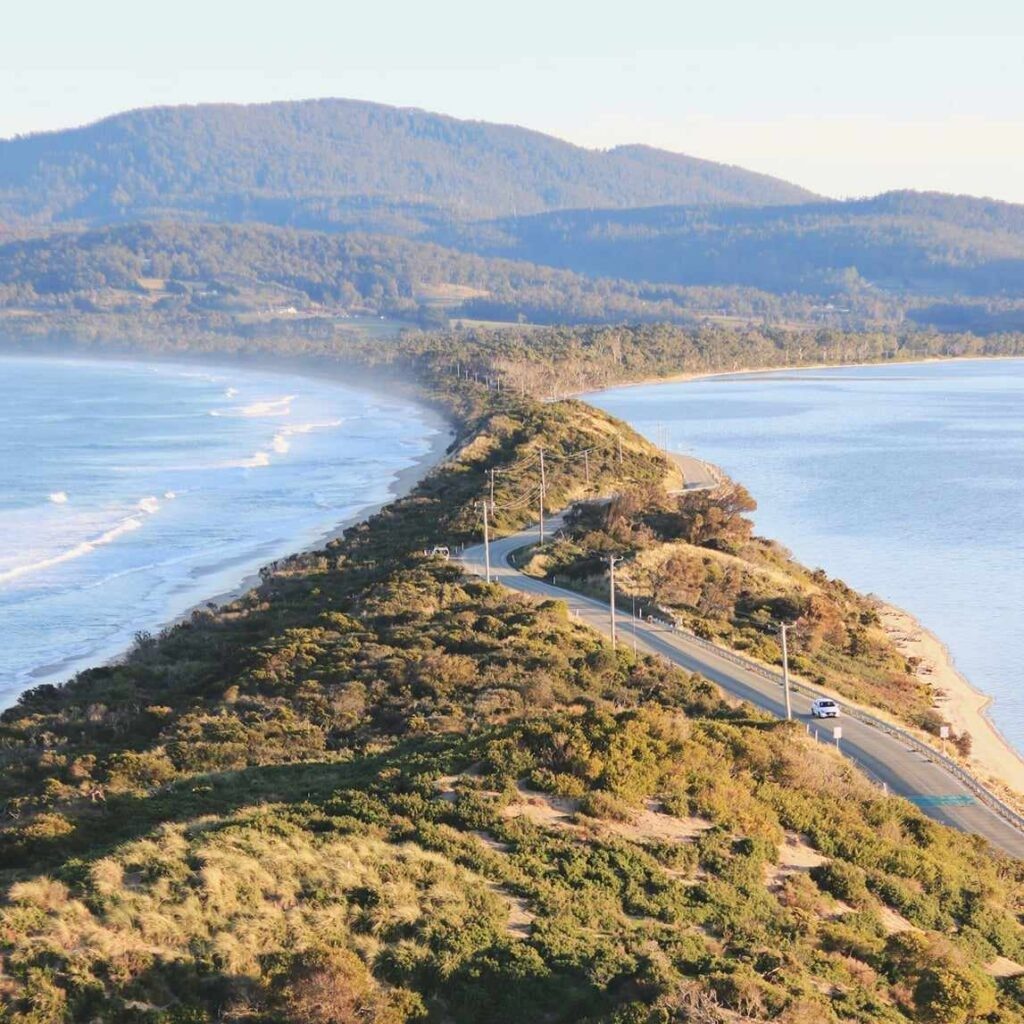 Wild Escapes Tasmania in Sandy Bay, TAS — photo 4