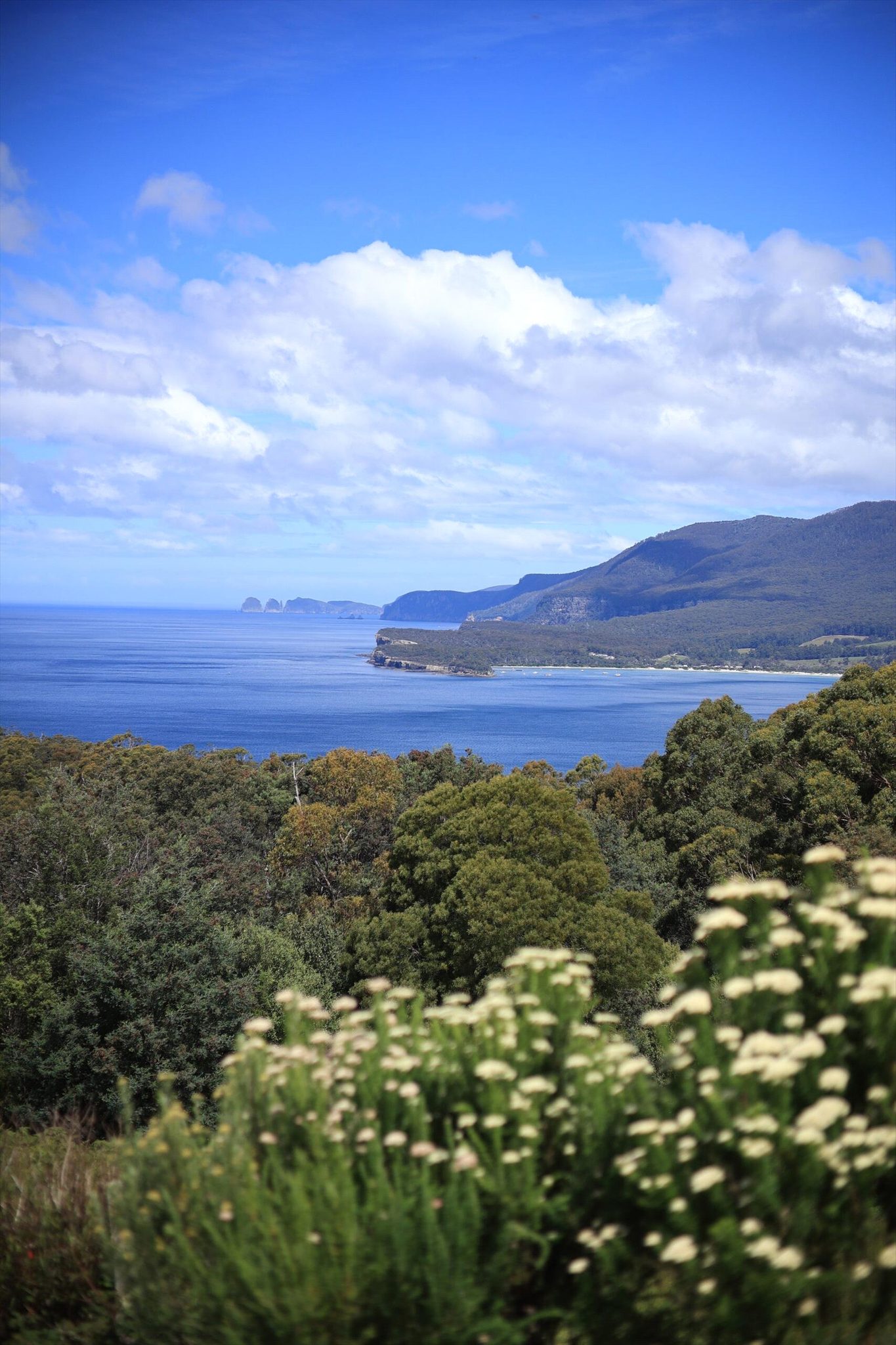Wild Escapes Tasmania in Sandy Bay, TAS — photo 1