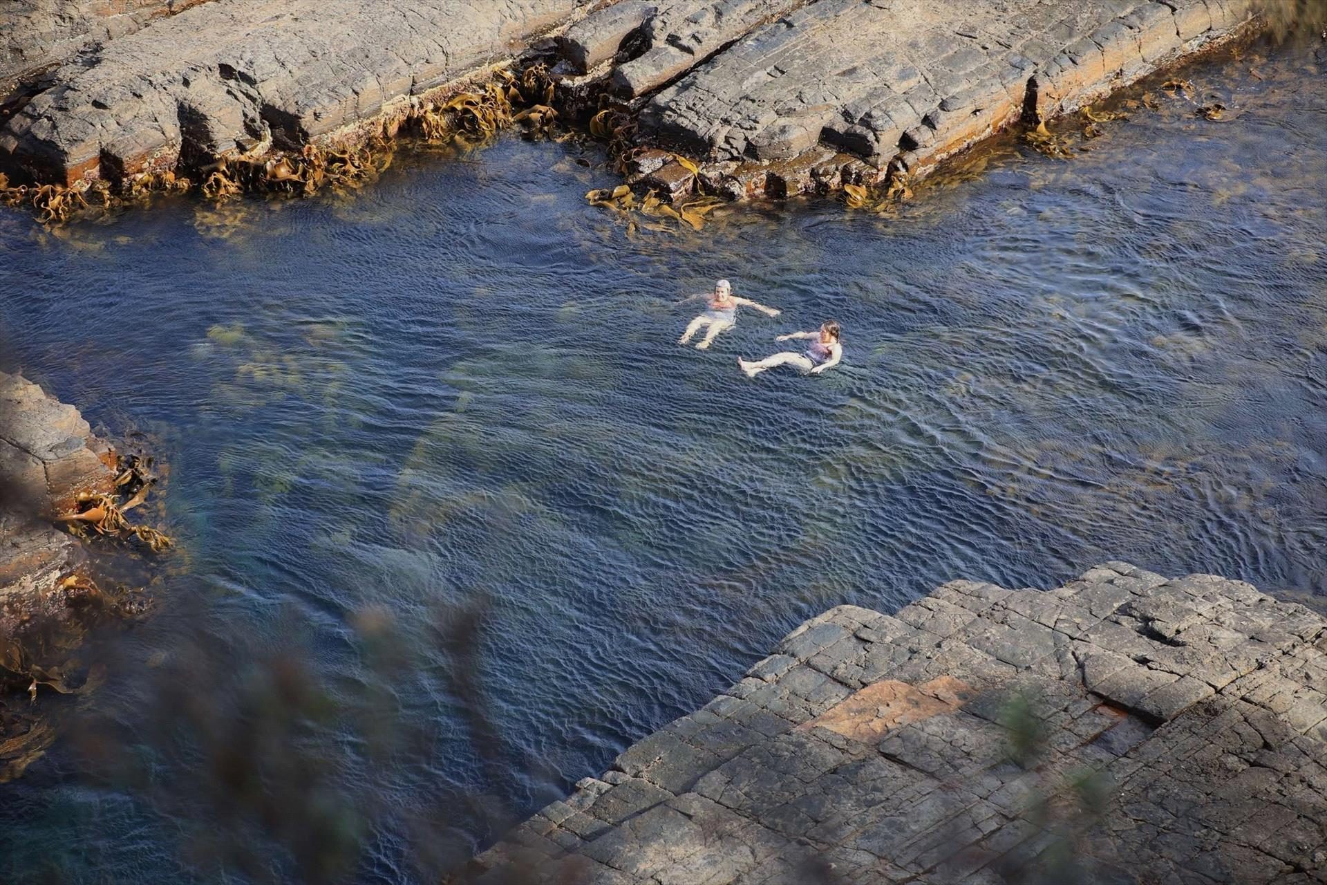 Wild Escapes Tasmania in Sandy Bay, TAS — photo 2