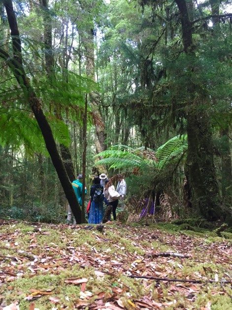 RoamWild Tasmania in Queenstown, TAS — photo 2