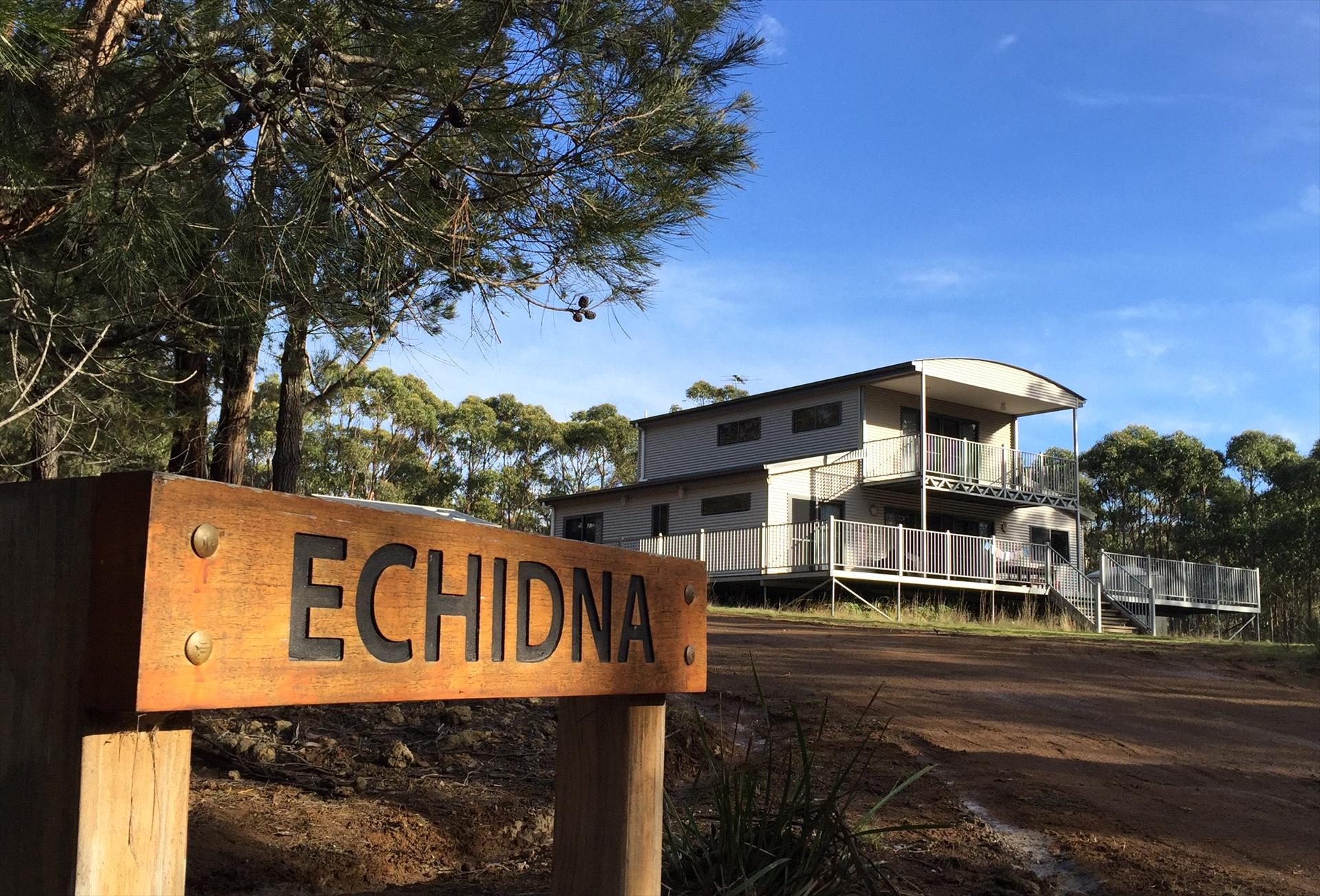 Echidna on Bruny in North Bruny, TAS — photo 2