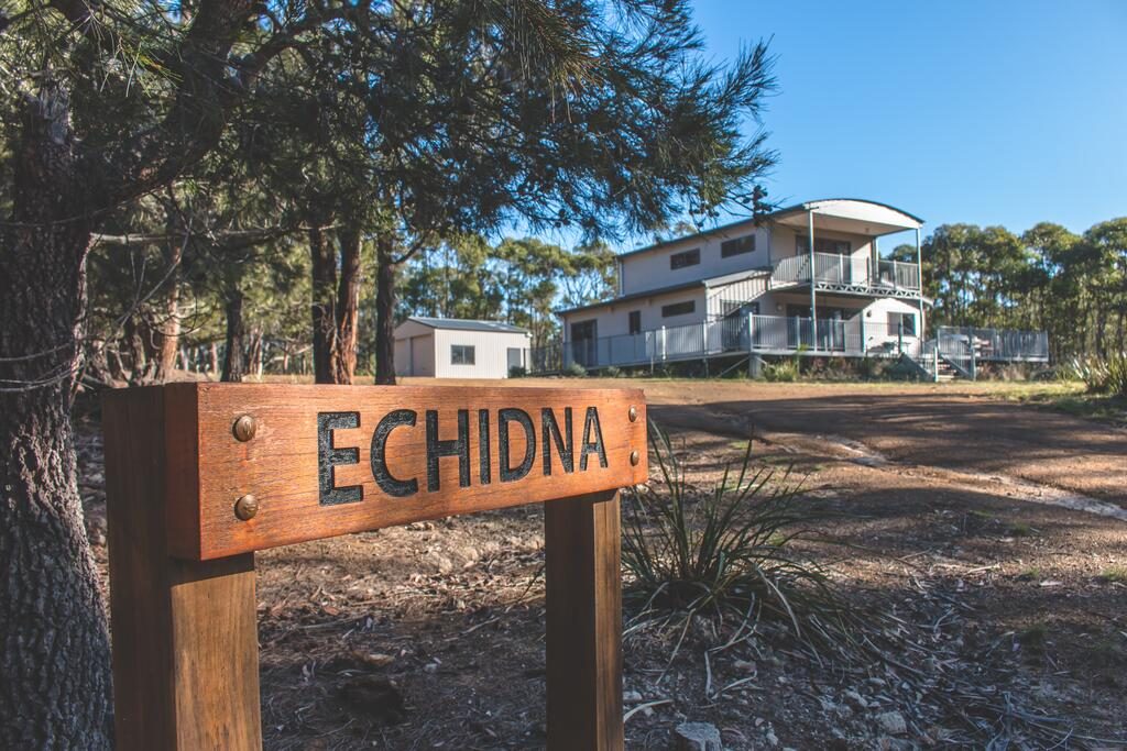 Echidna on Bruny — North Bruny, TAS