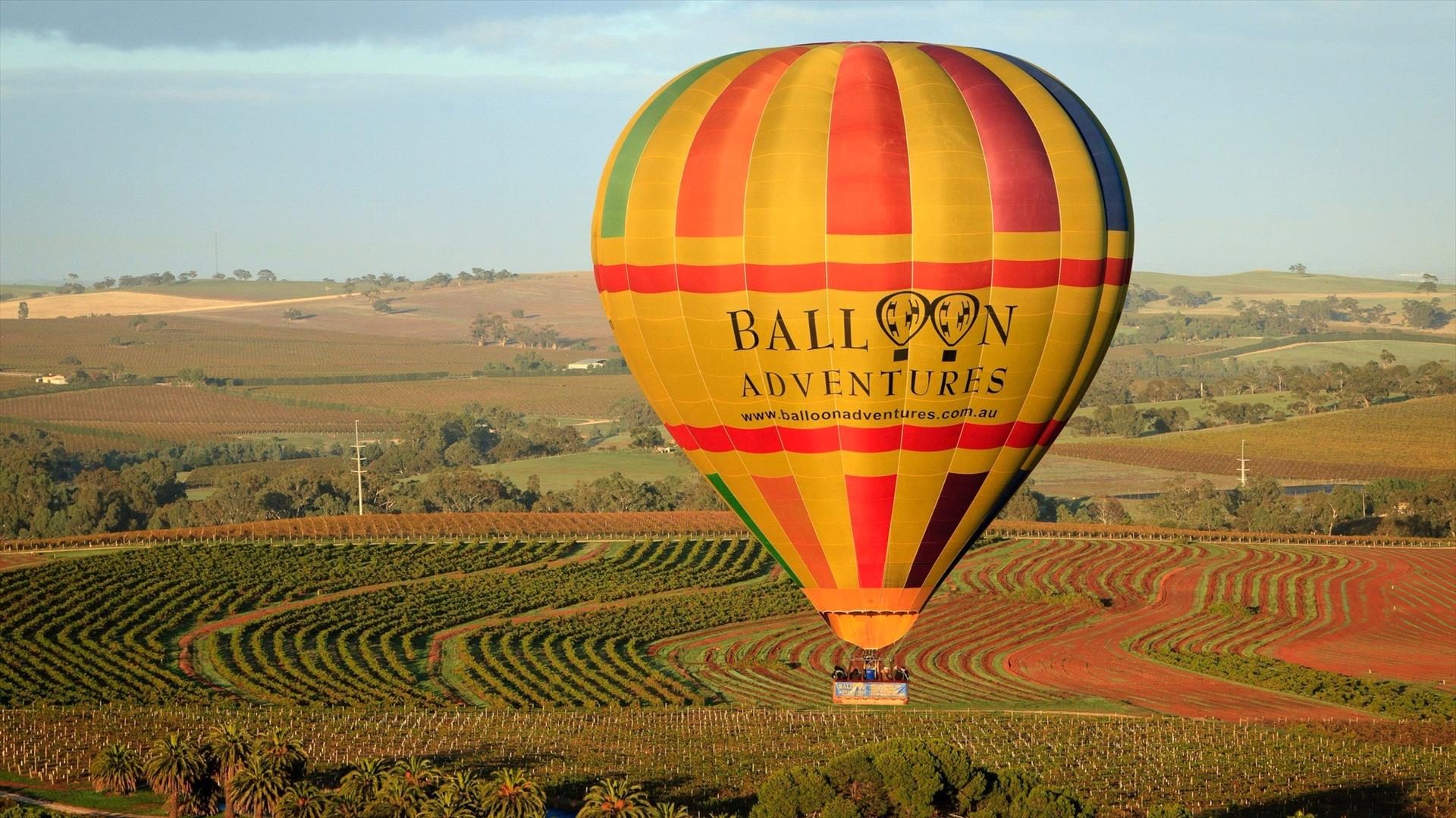 Barossa Balloon Adventures in NURIOOTPA, SA — photo 1