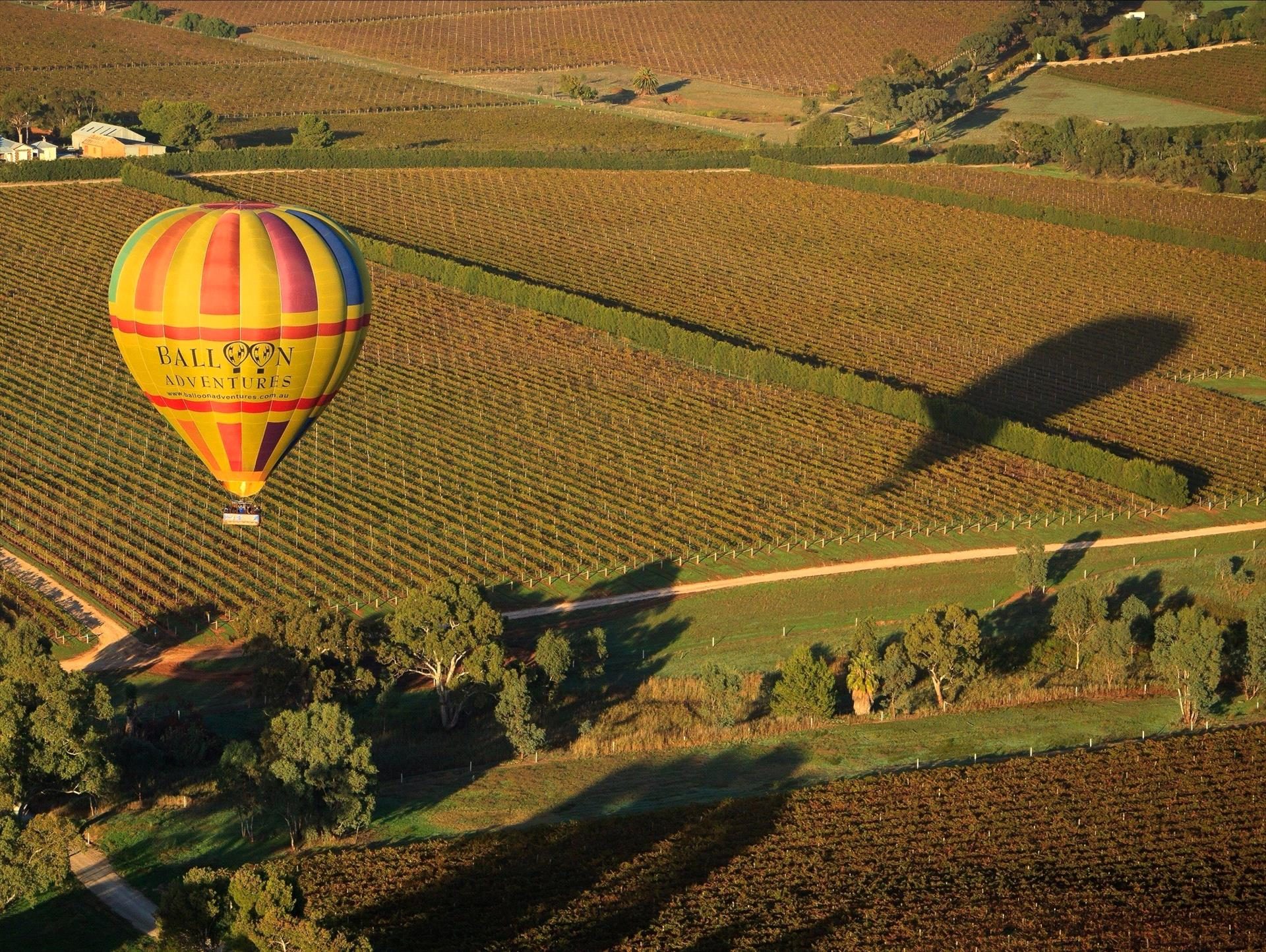 Barossa Balloon Adventures in NURIOOTPA, SA — photo 5