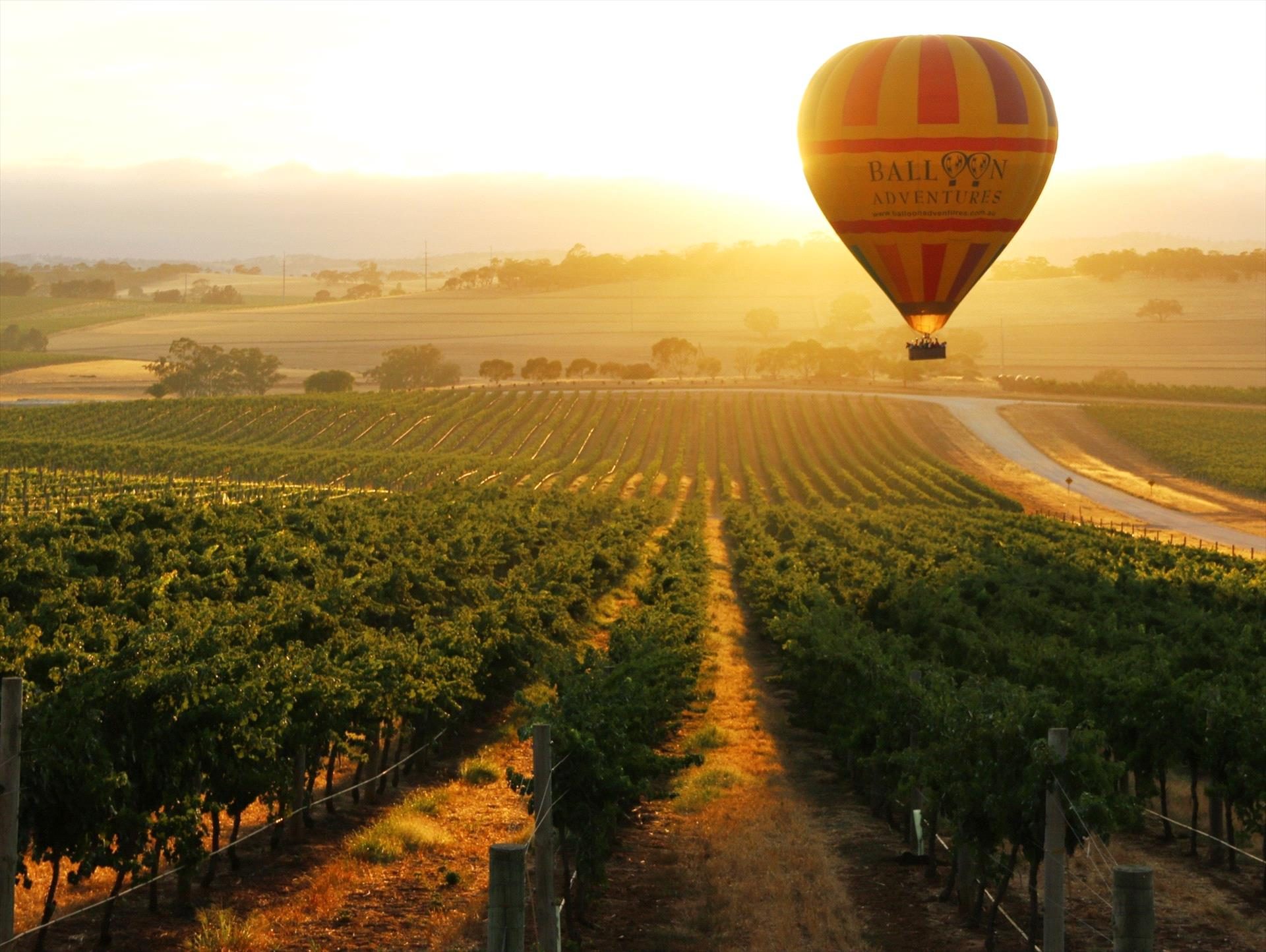 Barossa Balloon Adventures in NURIOOTPA, SA — photo 3