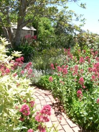 Walnut Cottage in Novar Gardens, SA — photo 4