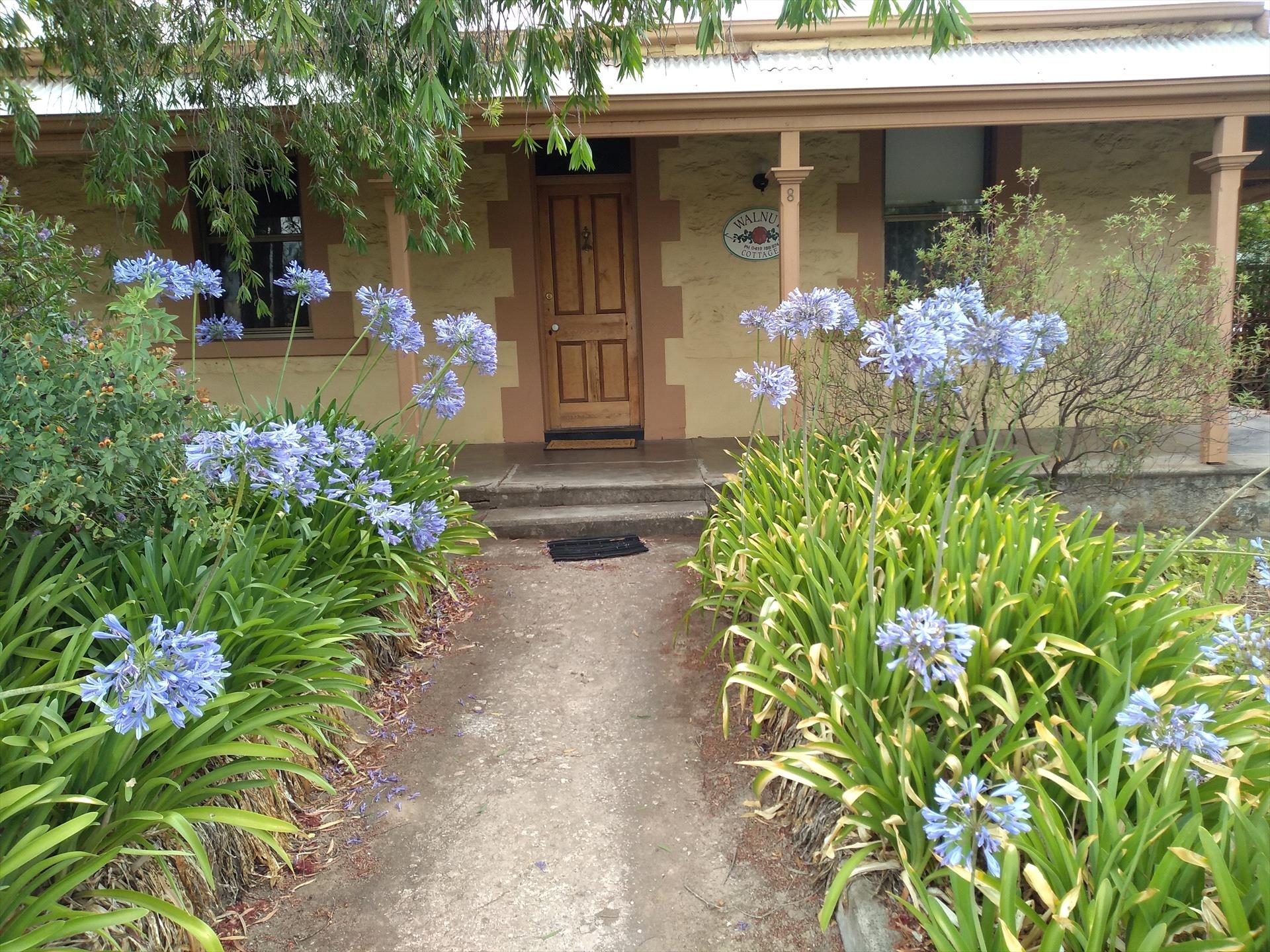 Walnut Cottage in Novar Gardens, SA — photo 5