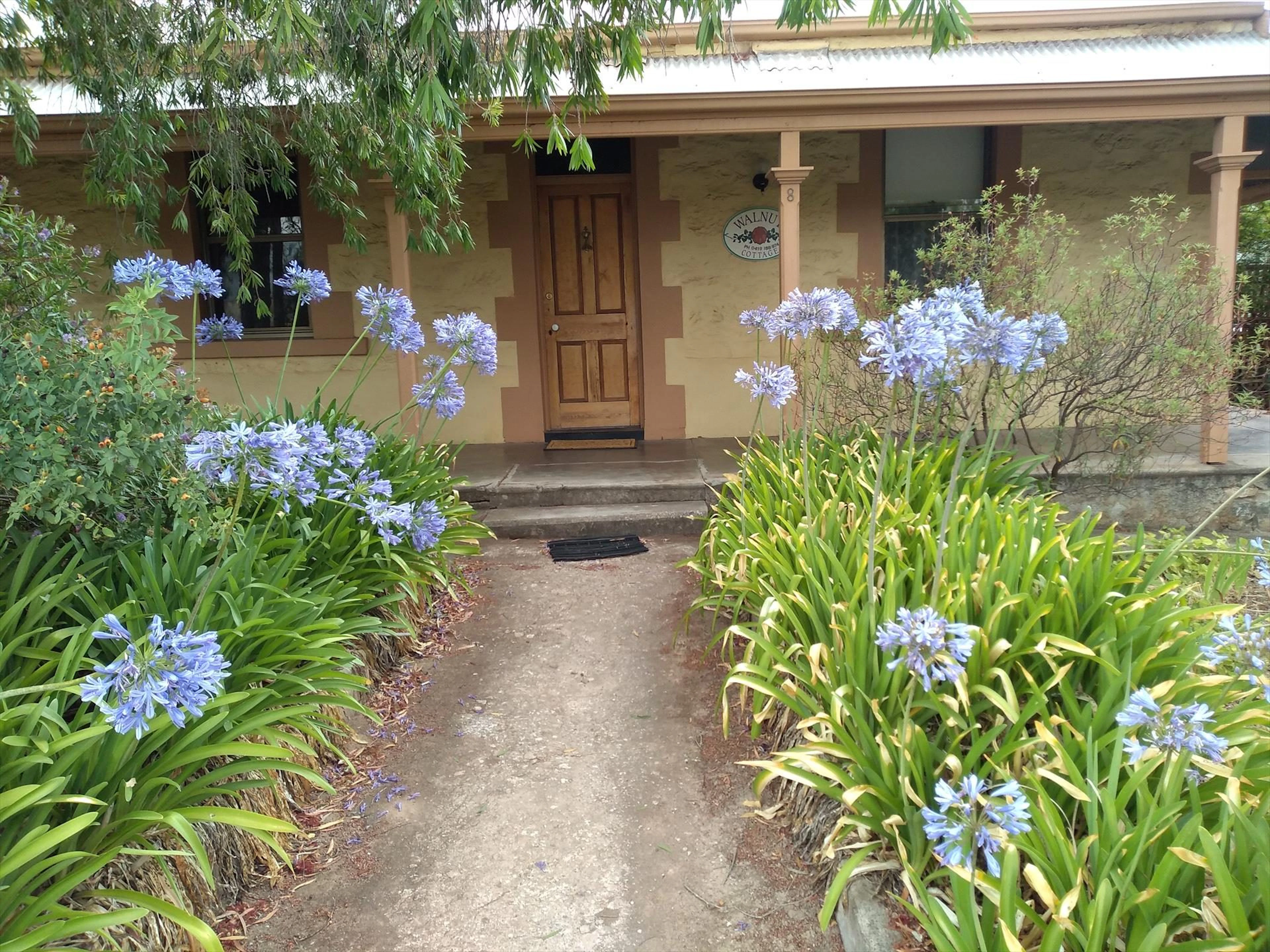 Walnut Cottage in Novar Gardens, SA — photo 5