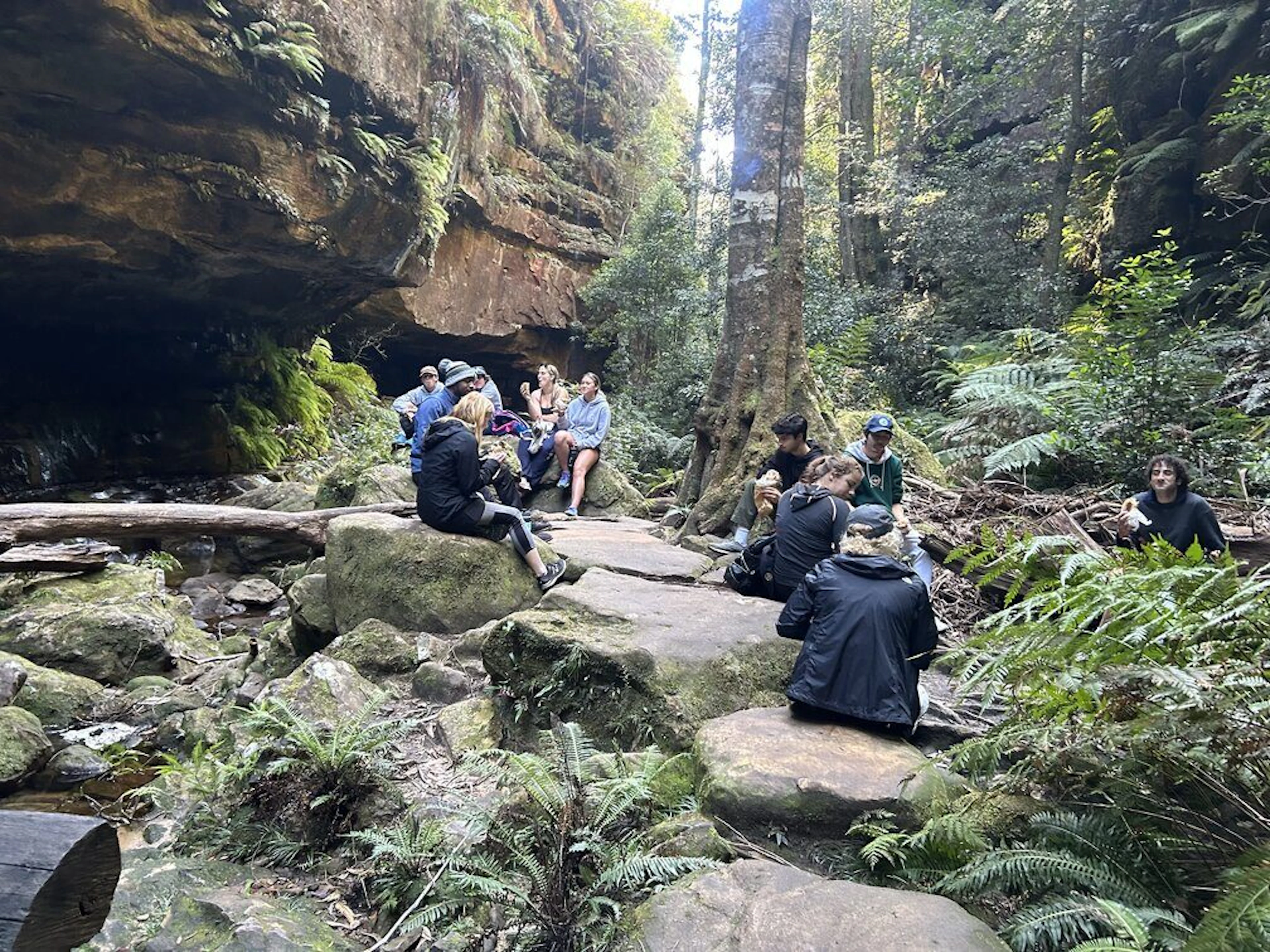 EcoTreasures in Narrabean, NSW — photo 1