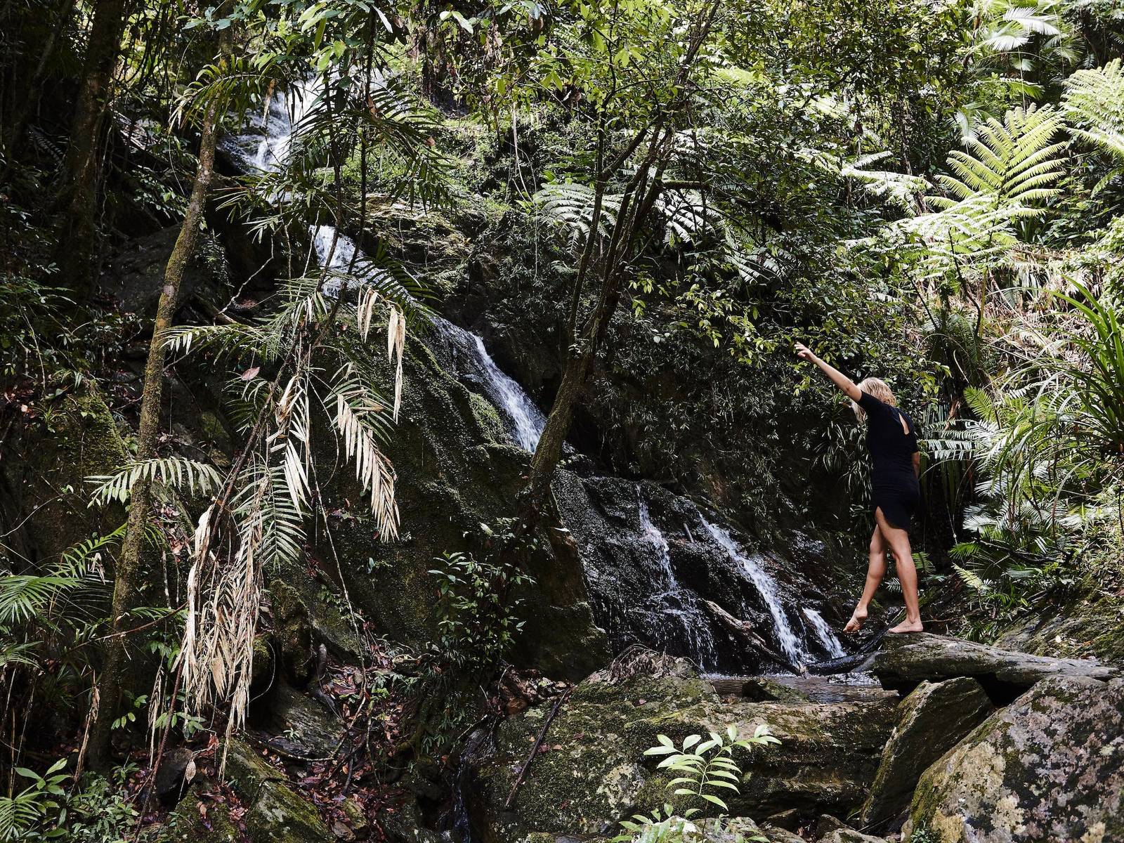 Intrepid Daintree Eco-Lodge in Daintree, QLD — photo 1