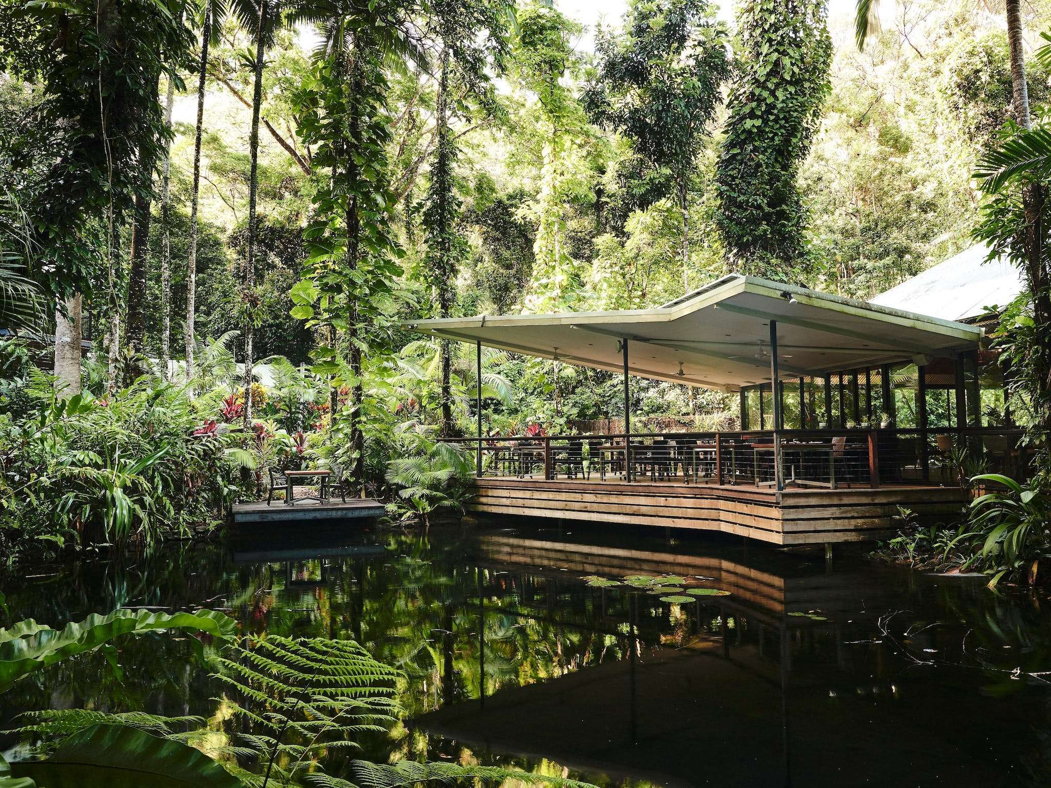 Intrepid Daintree Eco-Lodge in Daintree, QLD — photo 3