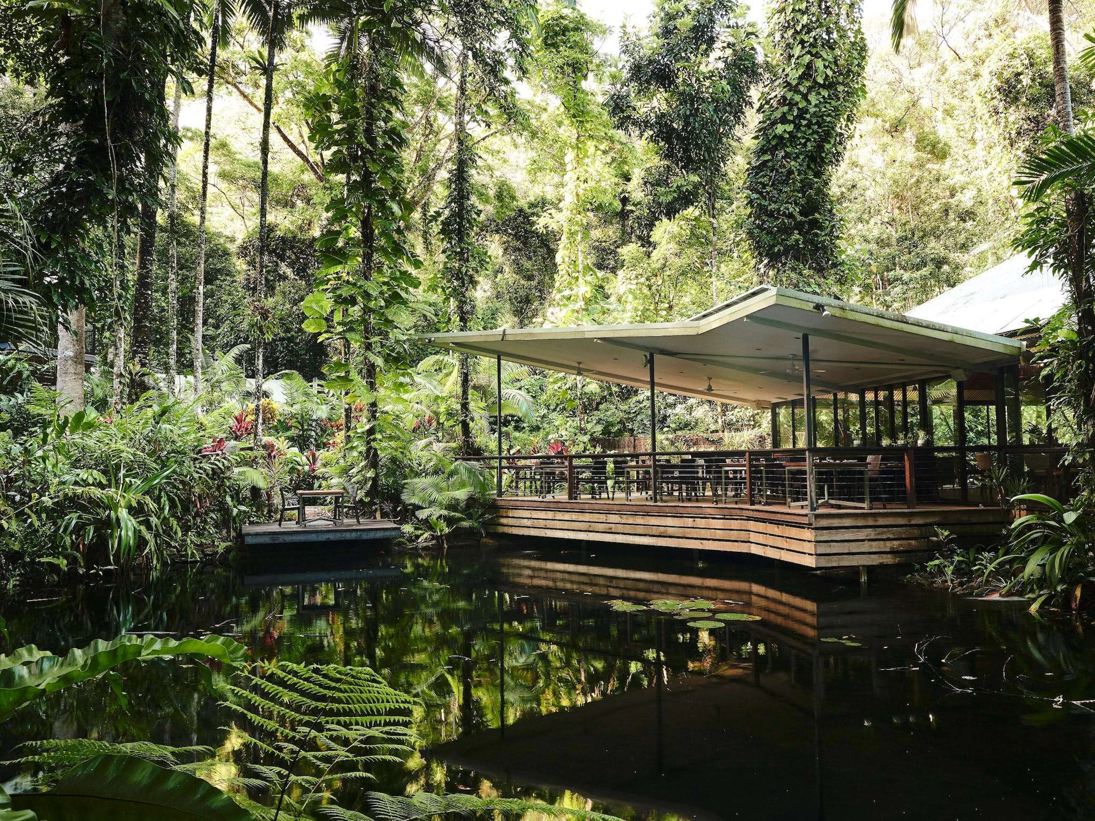 Intrepid Daintree Eco-Lodge in Daintree, QLD — photo 3