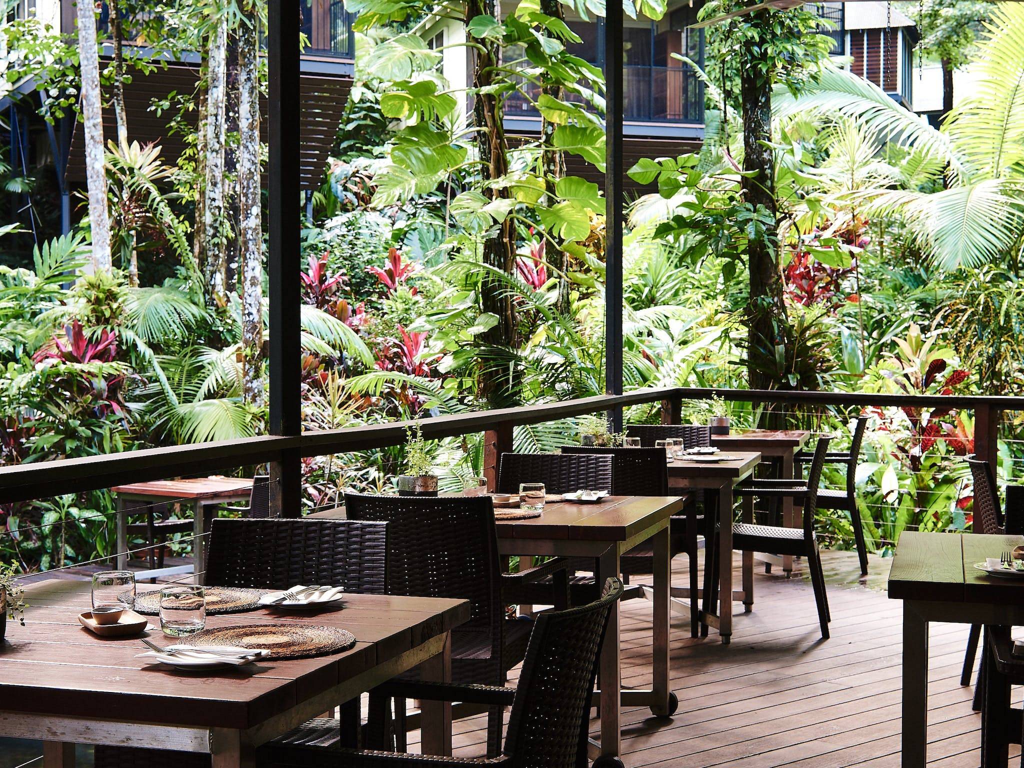 Intrepid Daintree Eco-Lodge — Daintree, QLD