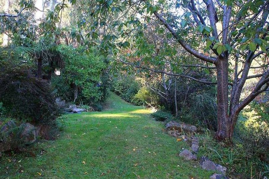 Juniper & Rye in Montrose, VIC — photo 3