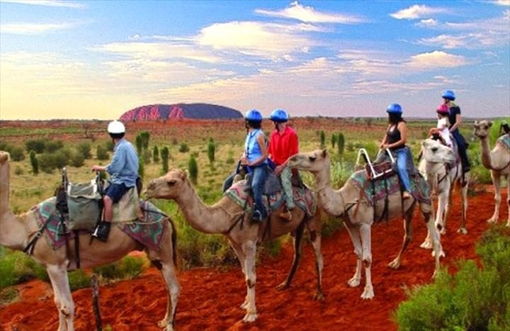 DIY Tourguide Audio Travel Guide in Parap, NT — photo 5