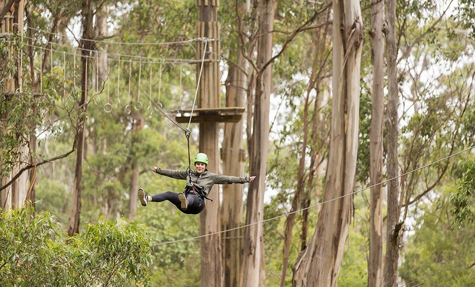 Live Wire Park in Lorne, VIC — photo 1