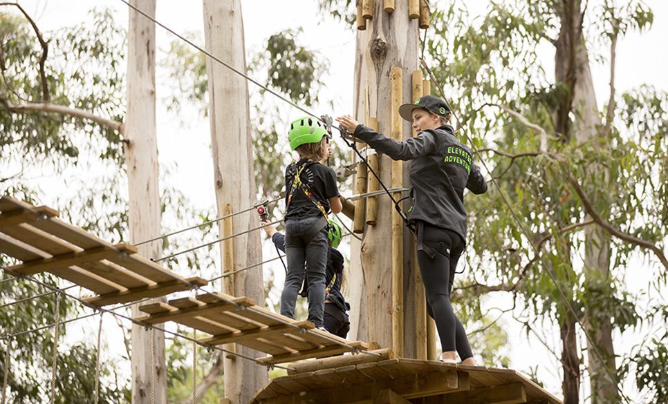 Live Wire Park in Lorne, VIC — photo 5