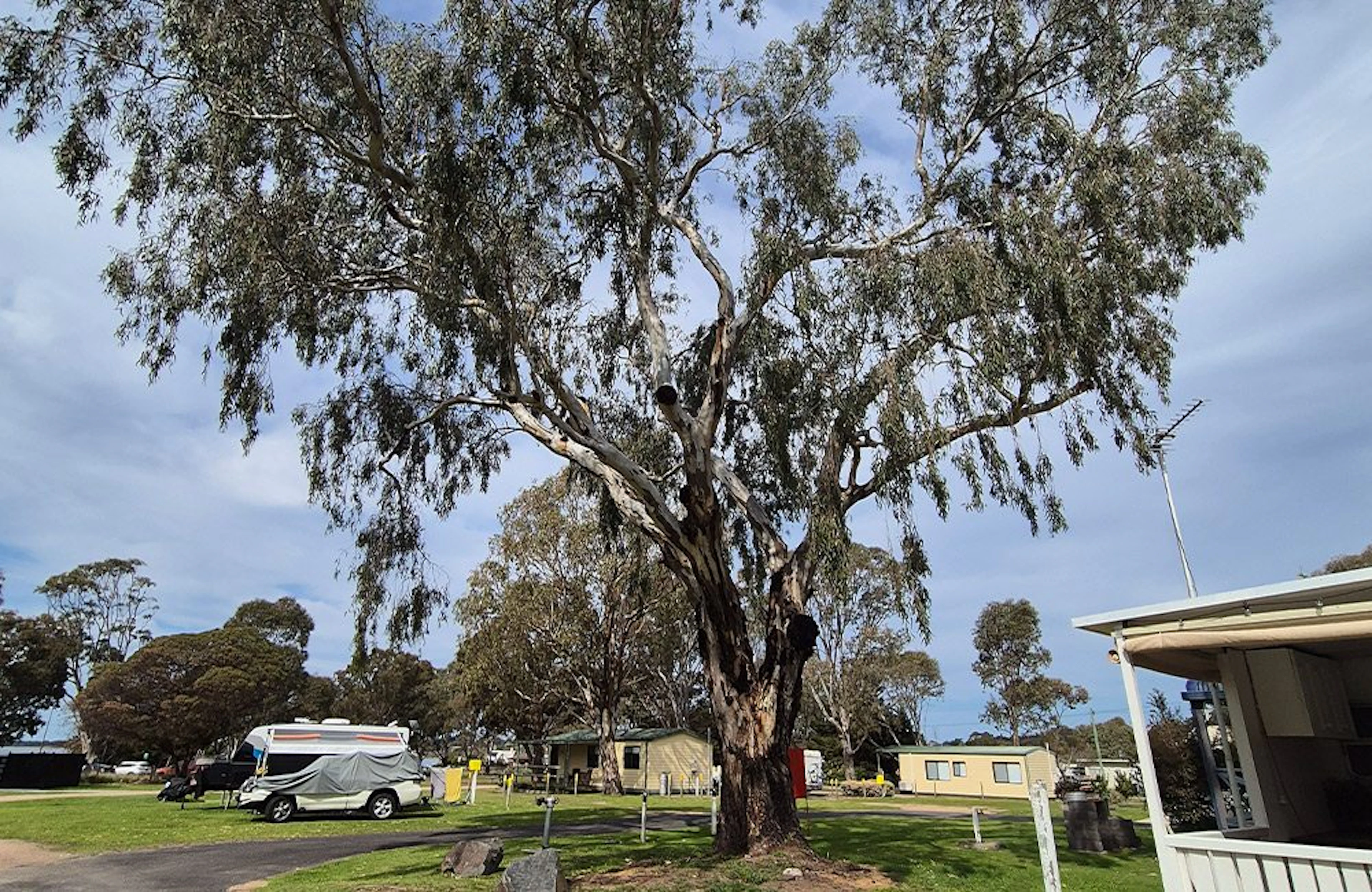 Eagle Point Caravan Park in Eagle Point, VIC — photo 2