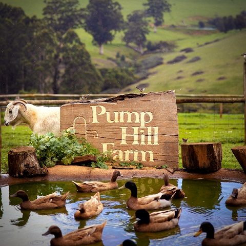 Pump Hill Farm Cottages — Pemberton, WA