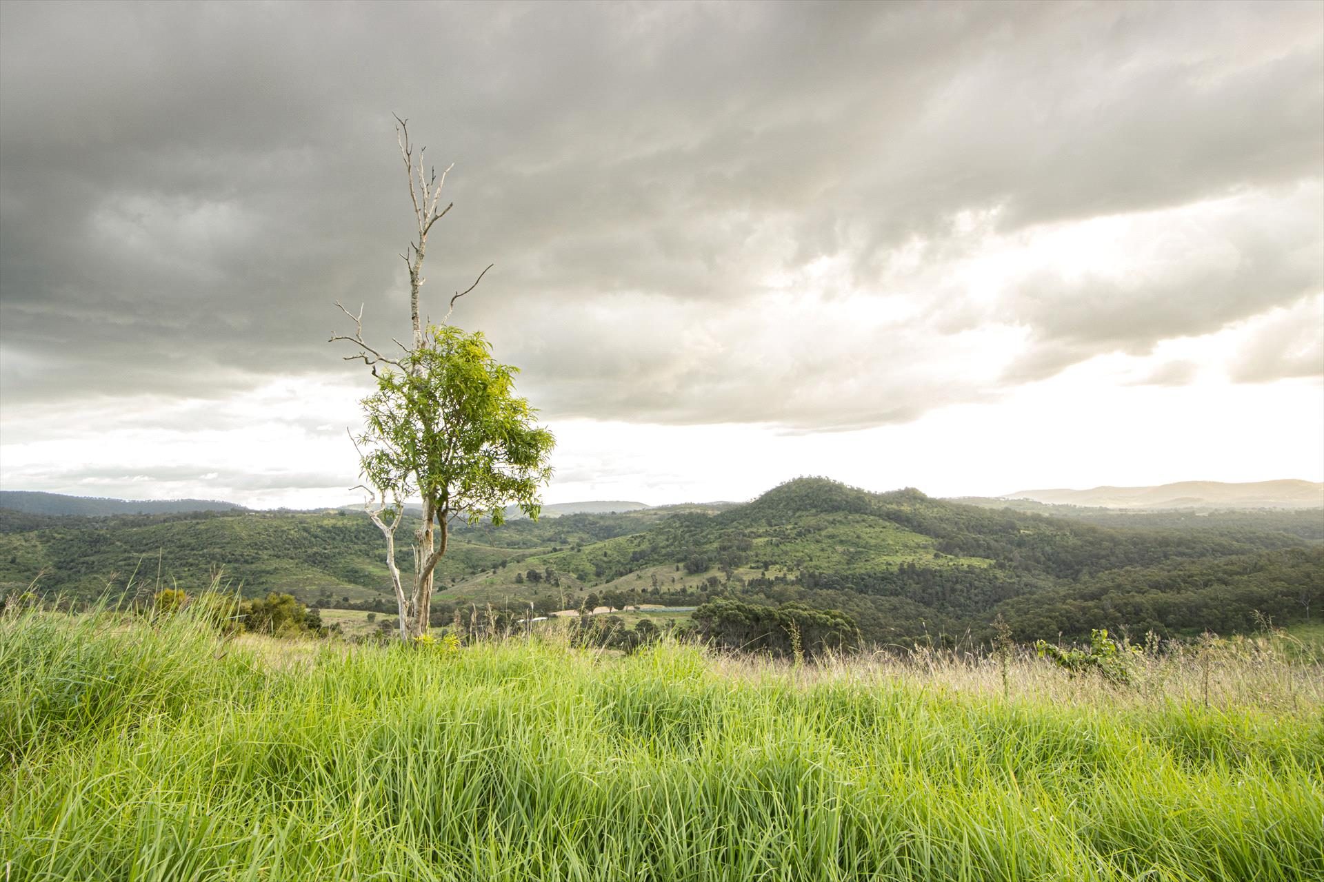 Valhalla Glamping in West Haldon, QLD — photo 5