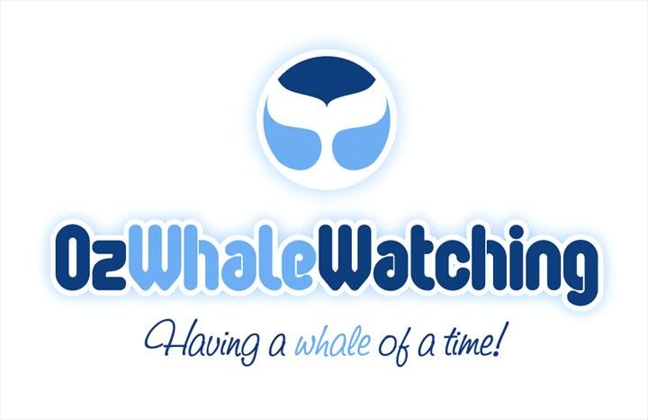 Oz Whale Watching/Sydney Princess Cruises in Pyrmont, NSW — photo 4