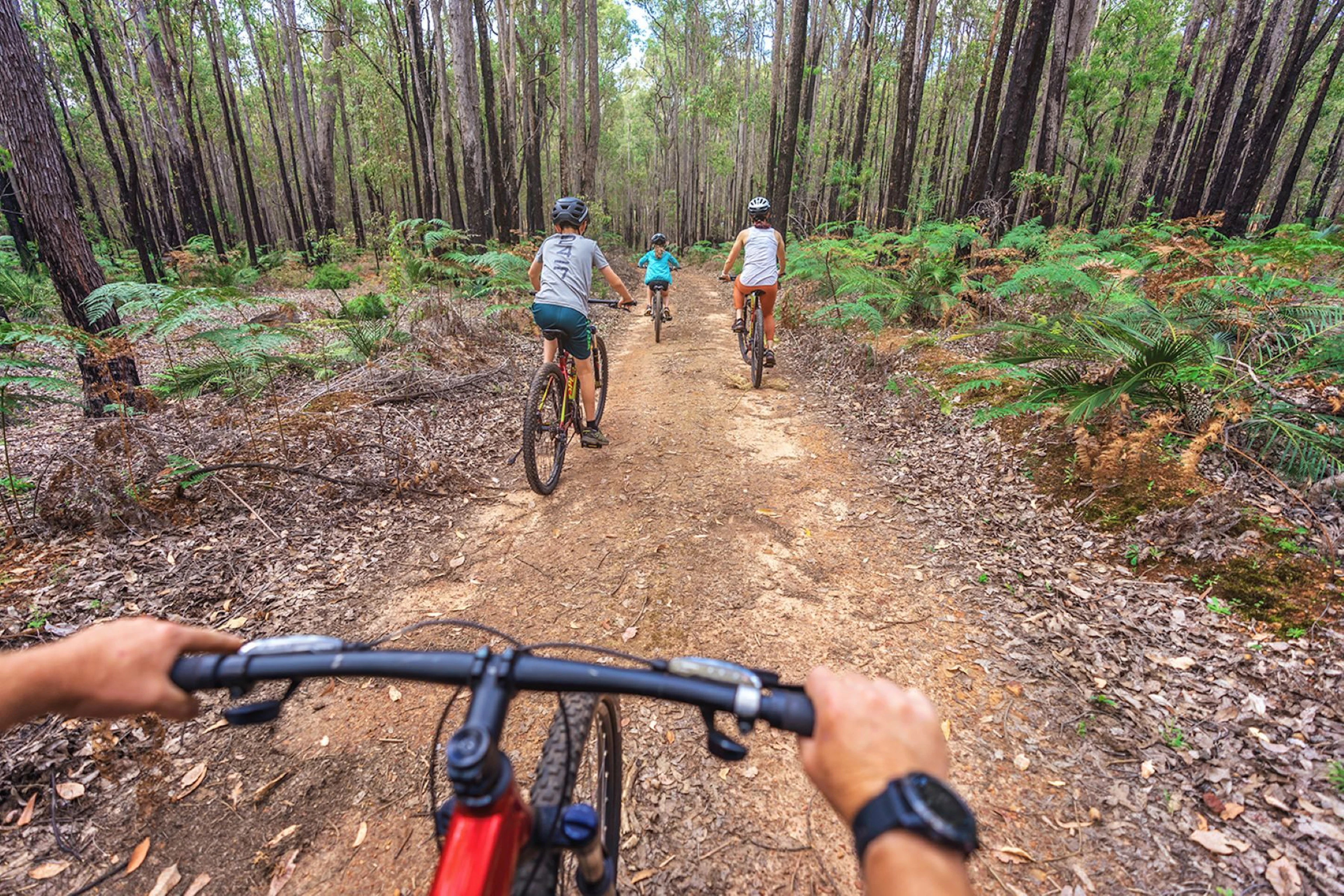 Dwellingup Adventures in Dwellingup, WA — photo 5
