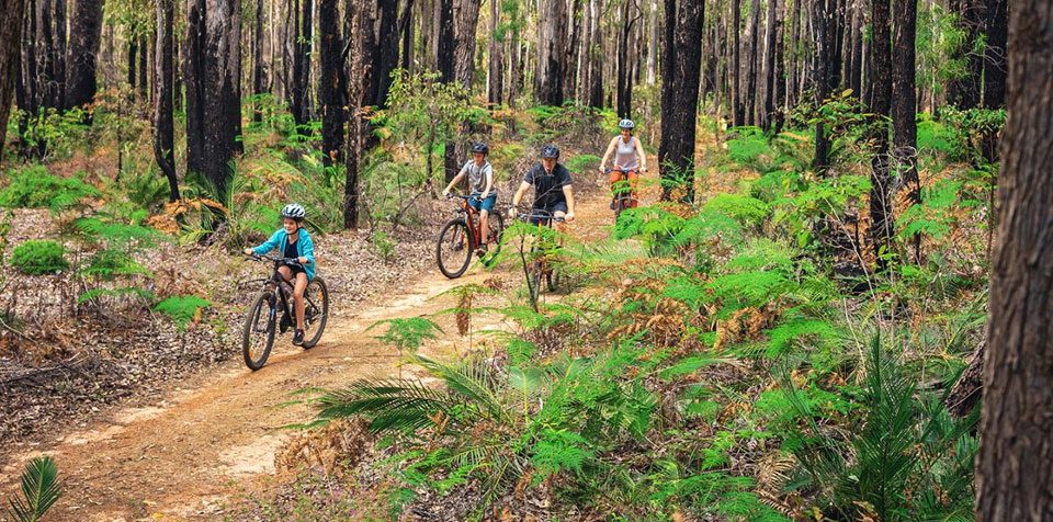 Dwellingup Adventures in Dwellingup, WA — photo 1