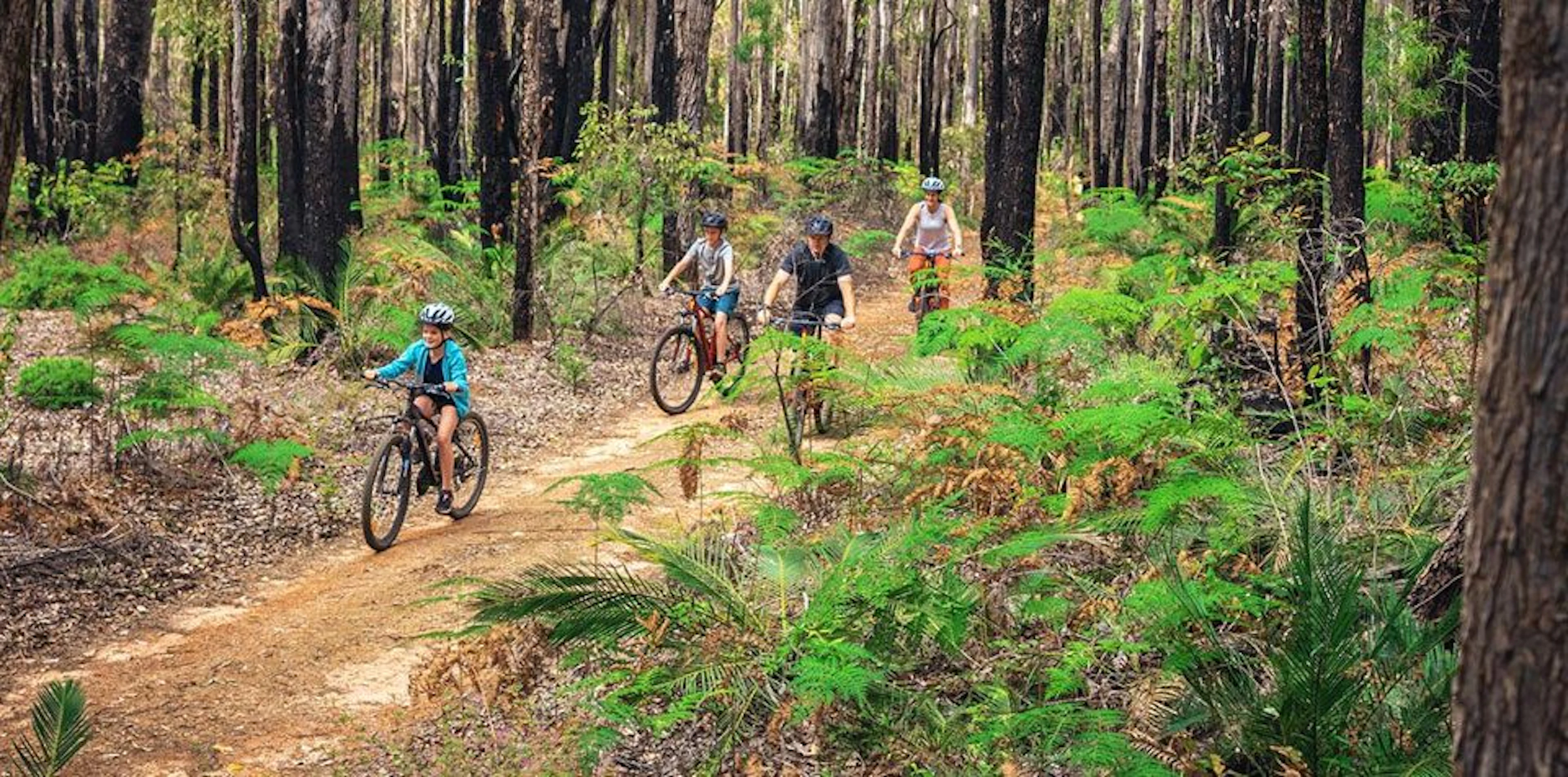 Dwellingup Adventures in Dwellingup, WA — photo 1