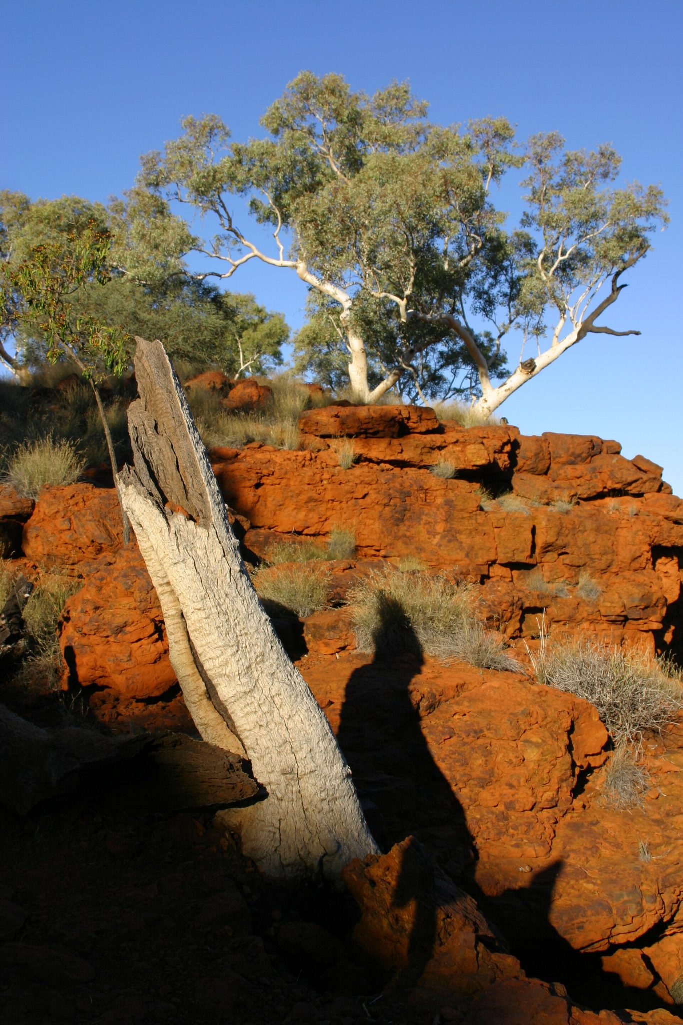Dales Campground in Karijini, WA — photo 3