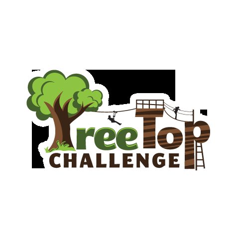 Treetop Challenge in Woombye, QLD — photo 5