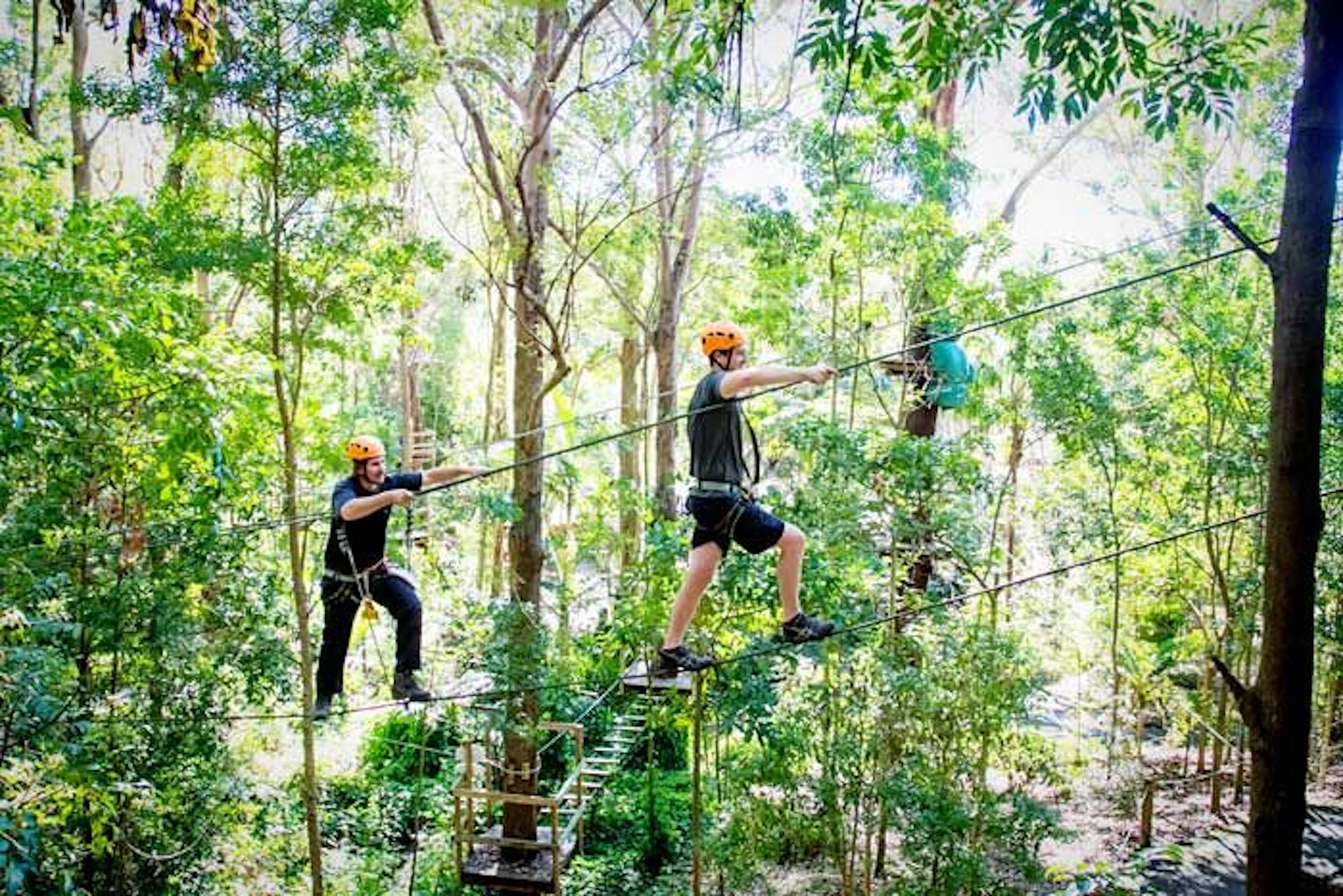 Treetop Challenge in Woombye, QLD — photo 1
