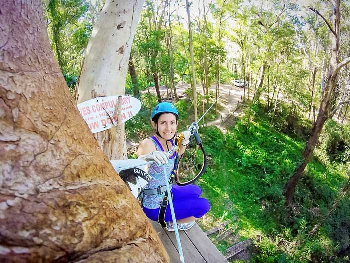 Treetop Challenge in Woombye, QLD — photo 5
