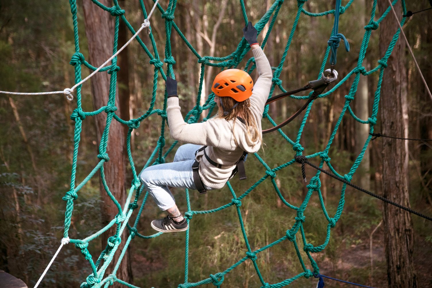 Treetops Adventure Central Coast in Wyong Creek, NSW — photo 1