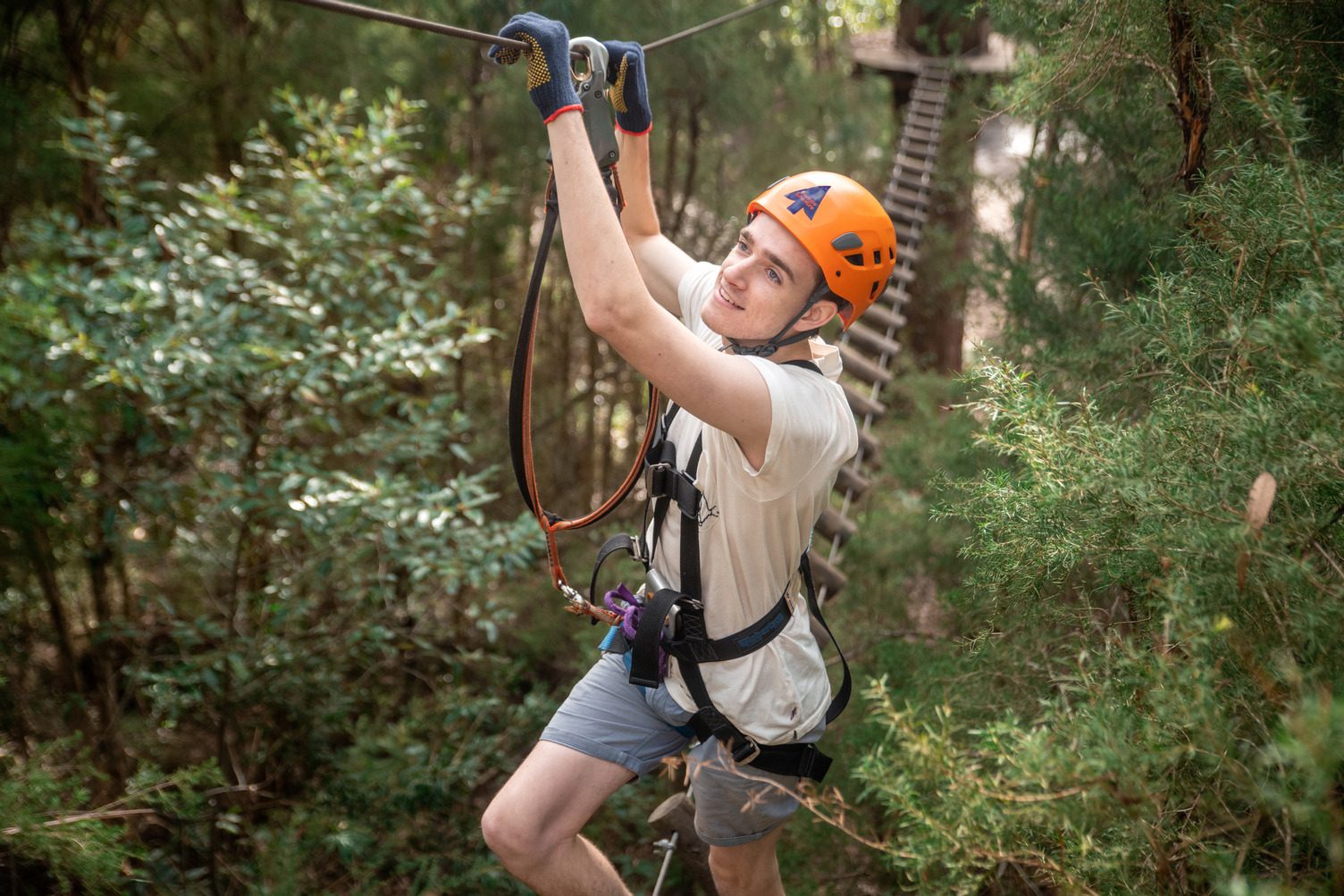 Treetops Adventure Central Coast in Wyong Creek, NSW — photo 3