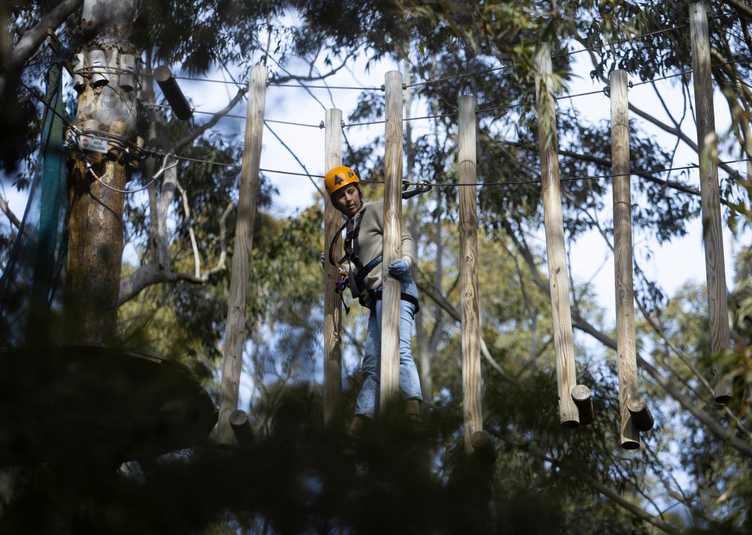Treetops Adventure Central Coast in Wyong Creek, NSW — photo 2