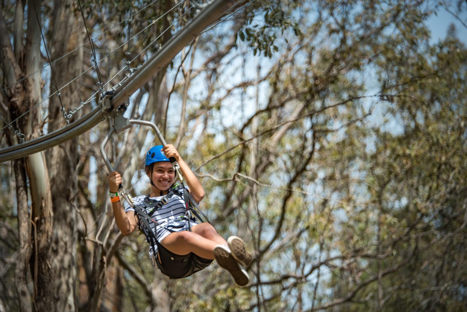 Treetops Adventure Central Coast in Wyong Creek, NSW — photo 4