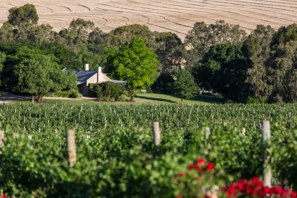Seppeltsfield Vineyard Cottage in Greenock, SA — photo 5