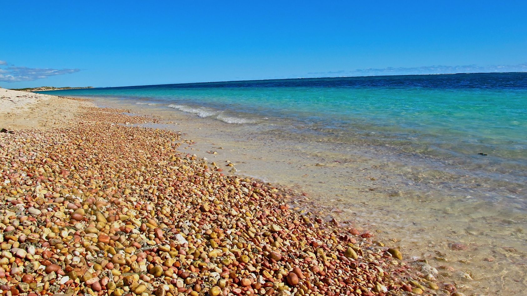 Ningaloo Discovery in Exmouth, WA — photo 4