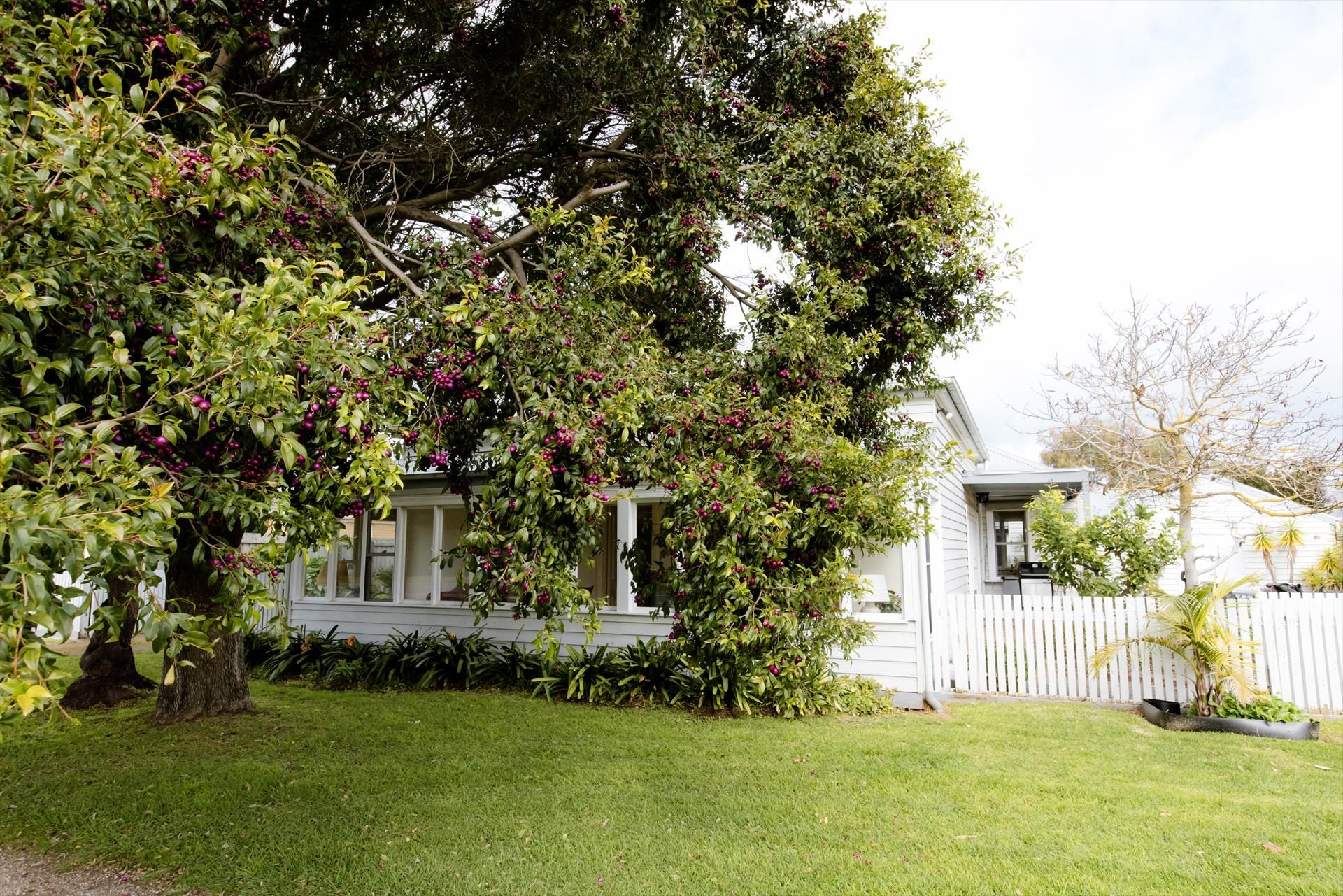 Lonsdale Palms in Point Lonsdale, VIC — photo 5